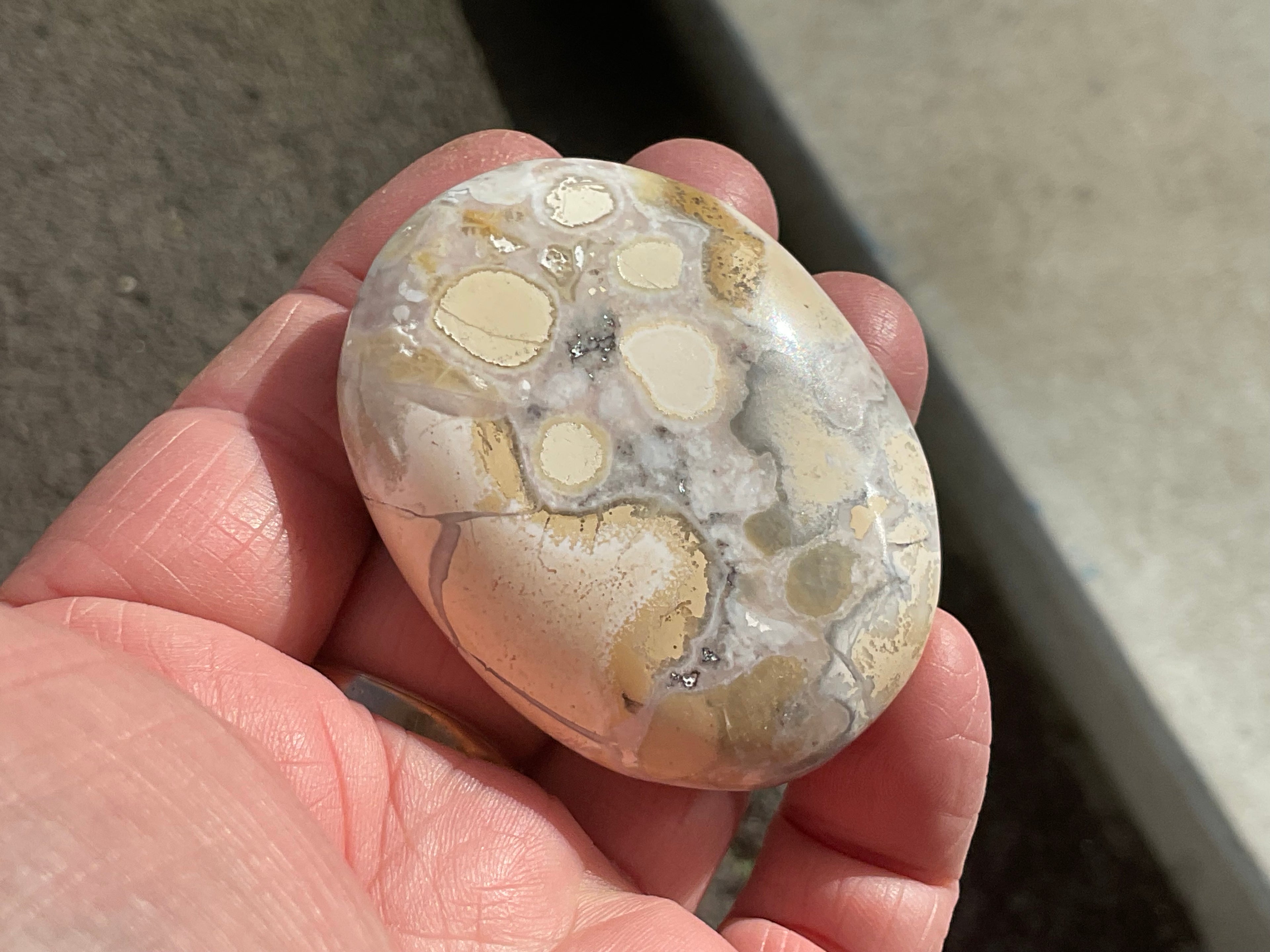 77g King Cobra Palmstone 1D