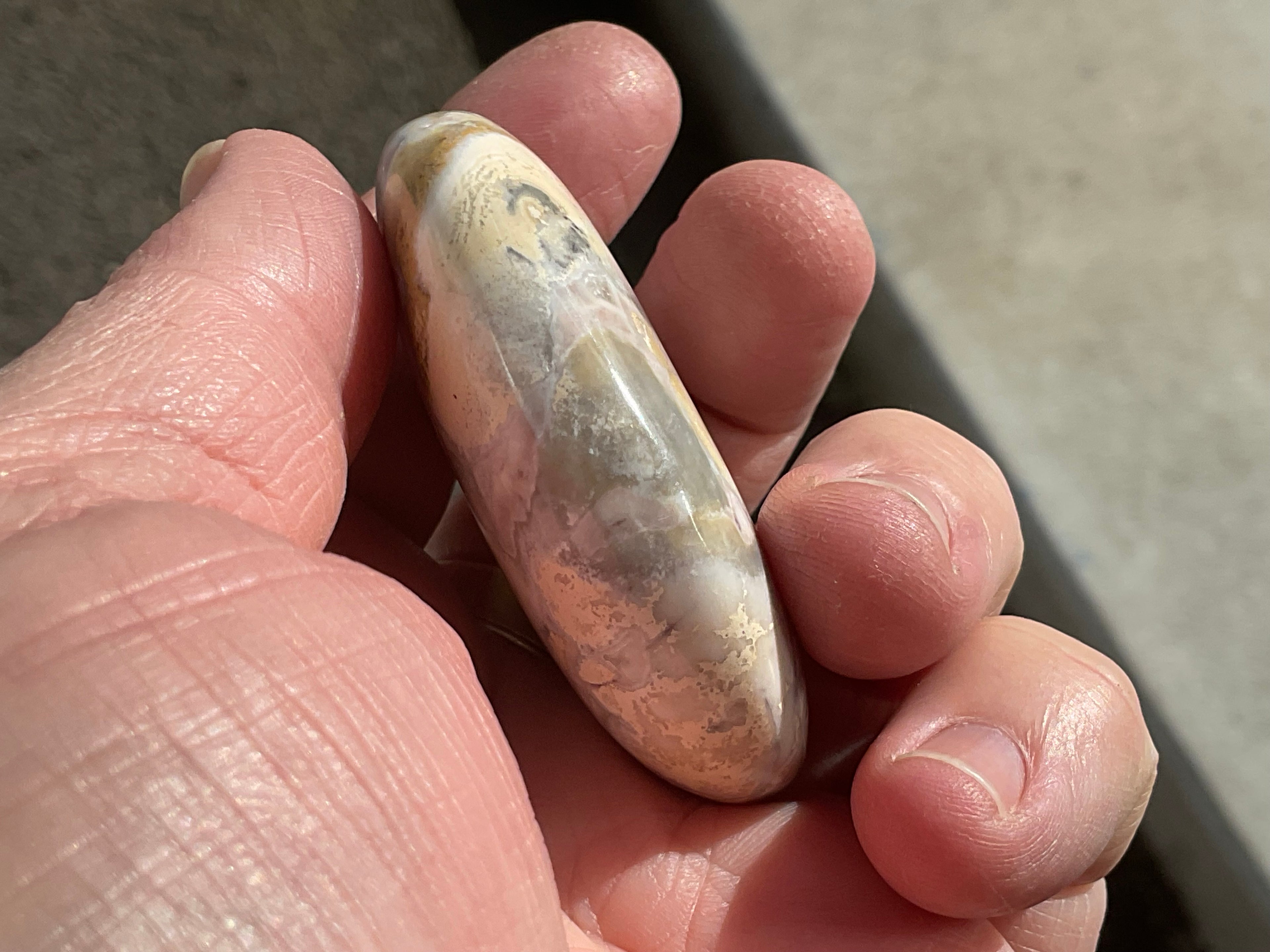 77g King Cobra Palmstone 1D