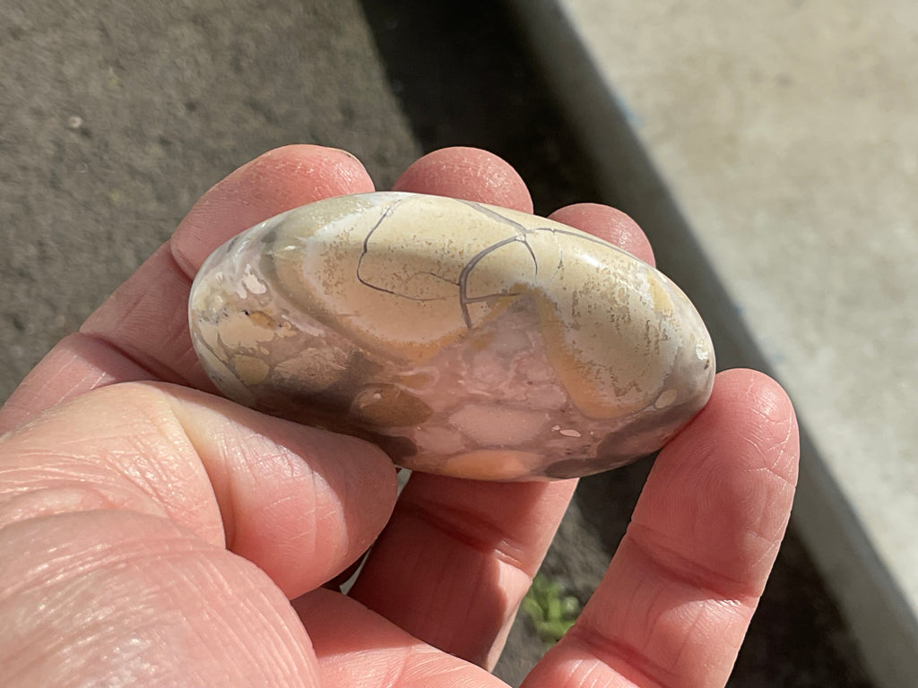 77g King Cobra Palmstone 1D