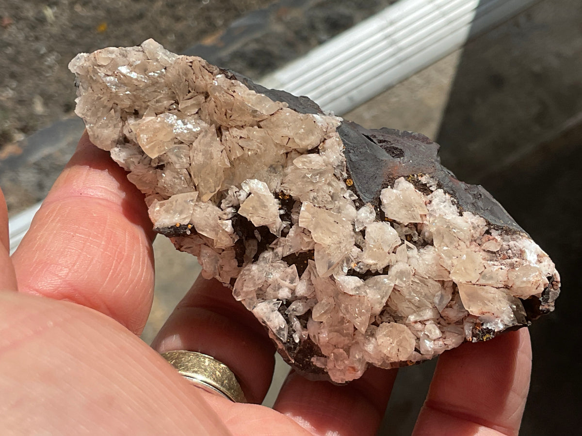206g Diamond Calcite on Black Siderite with Red Hematite Specimen 9A