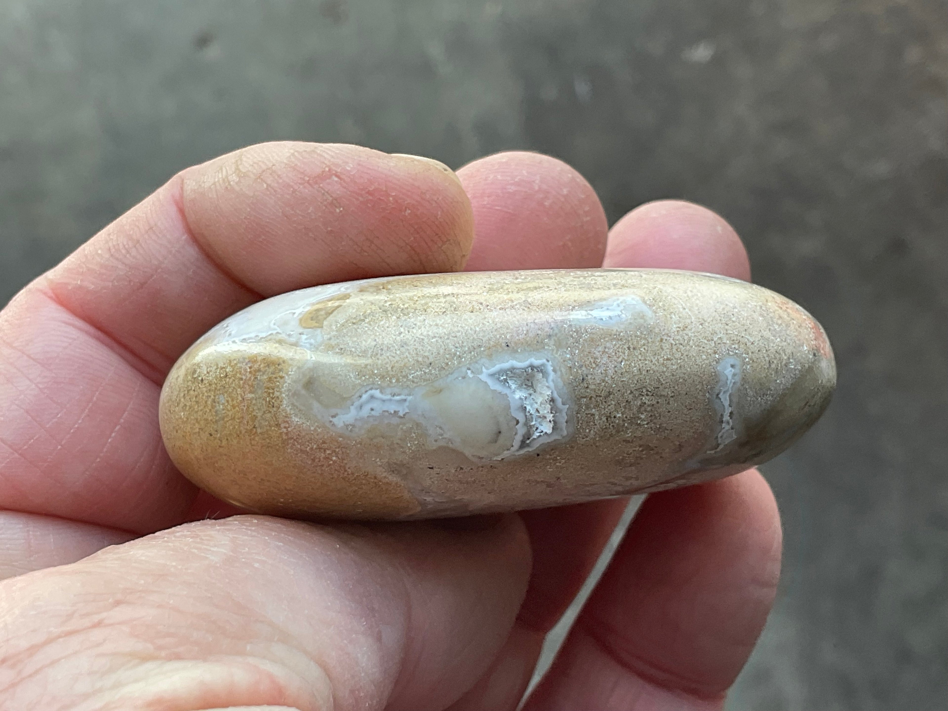 85g King Cobra Palmstone 1E