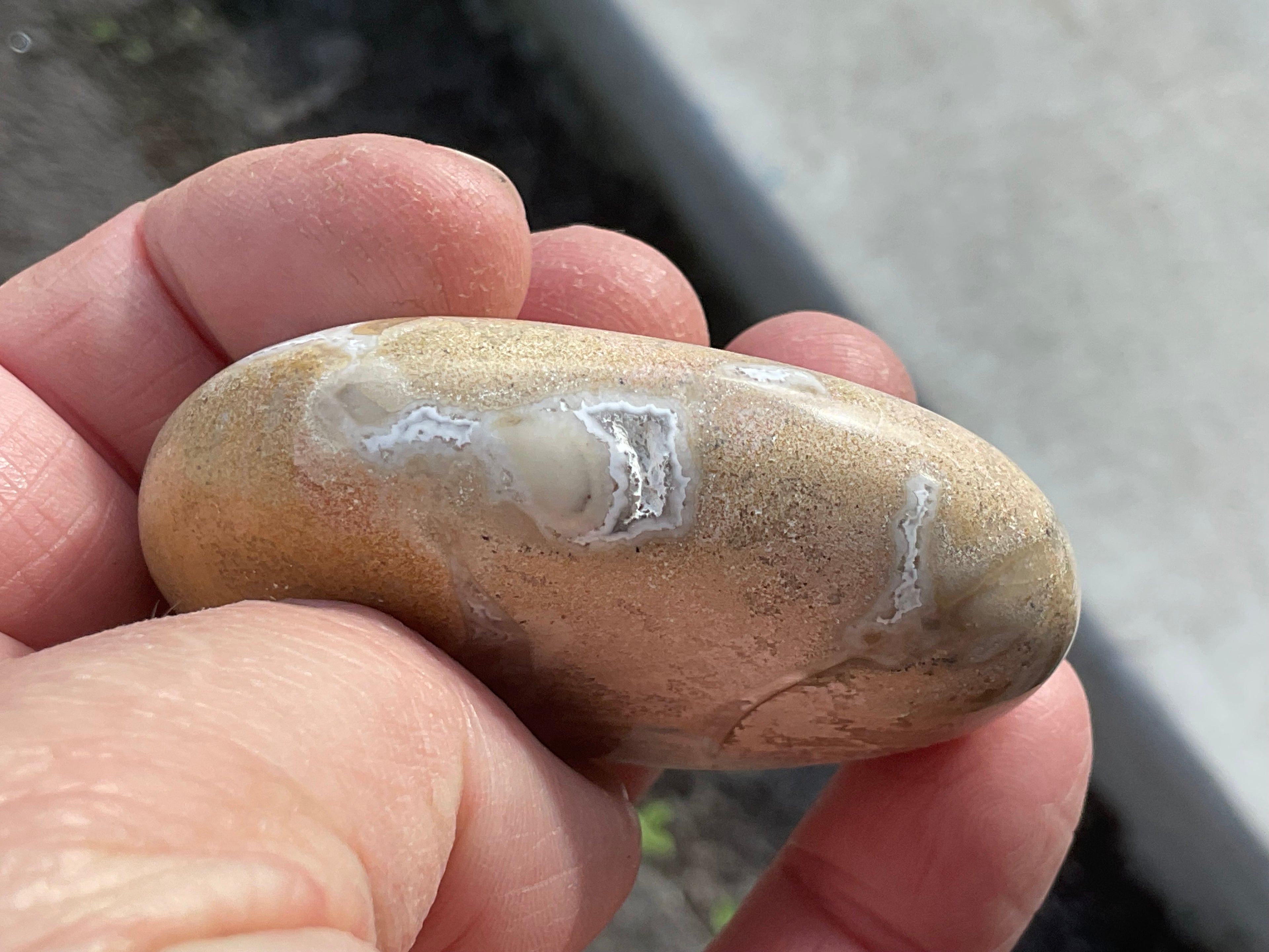 85g King Cobra Palmstone 1E