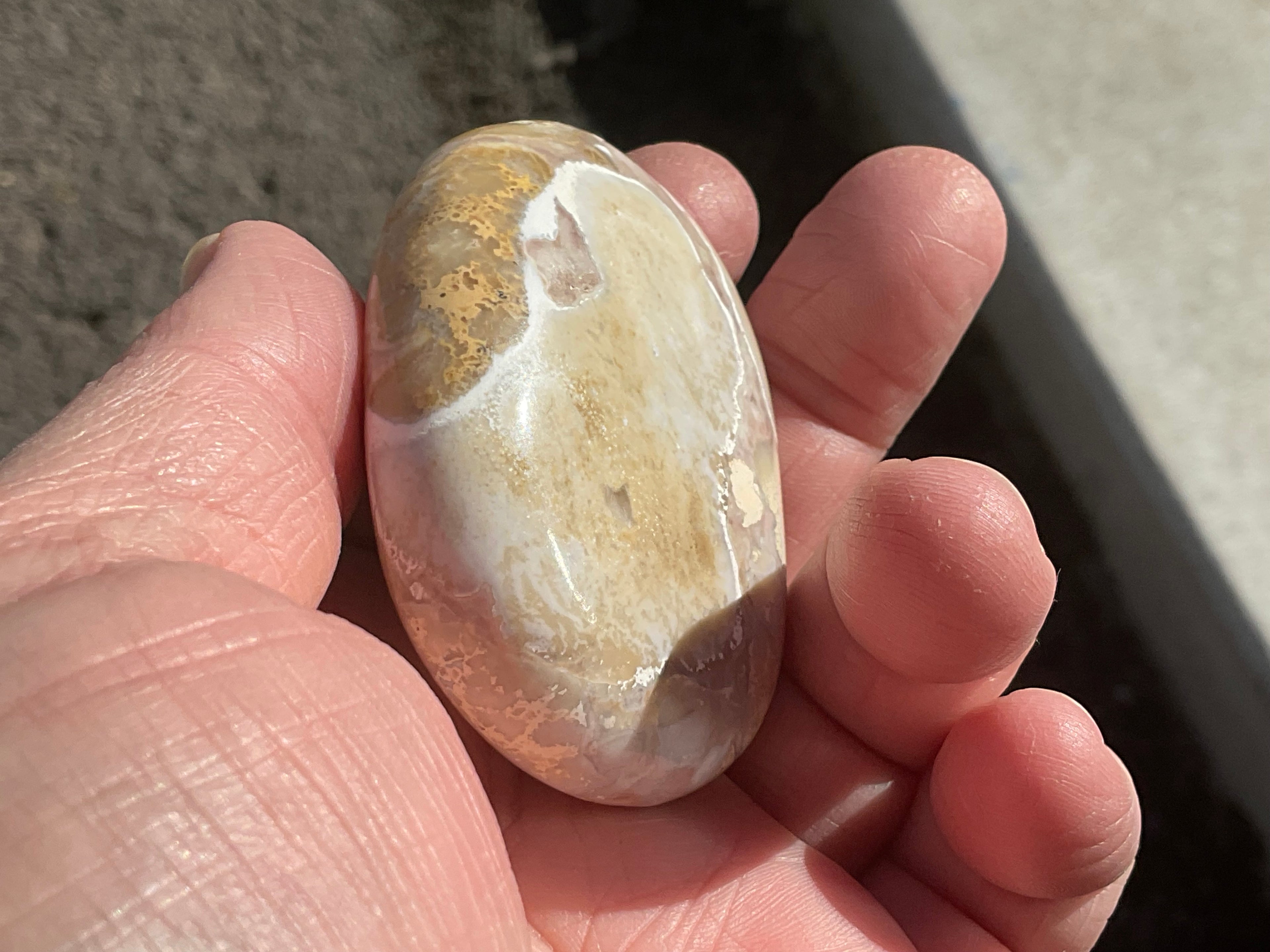 90g King Cobra Palmstone 2A