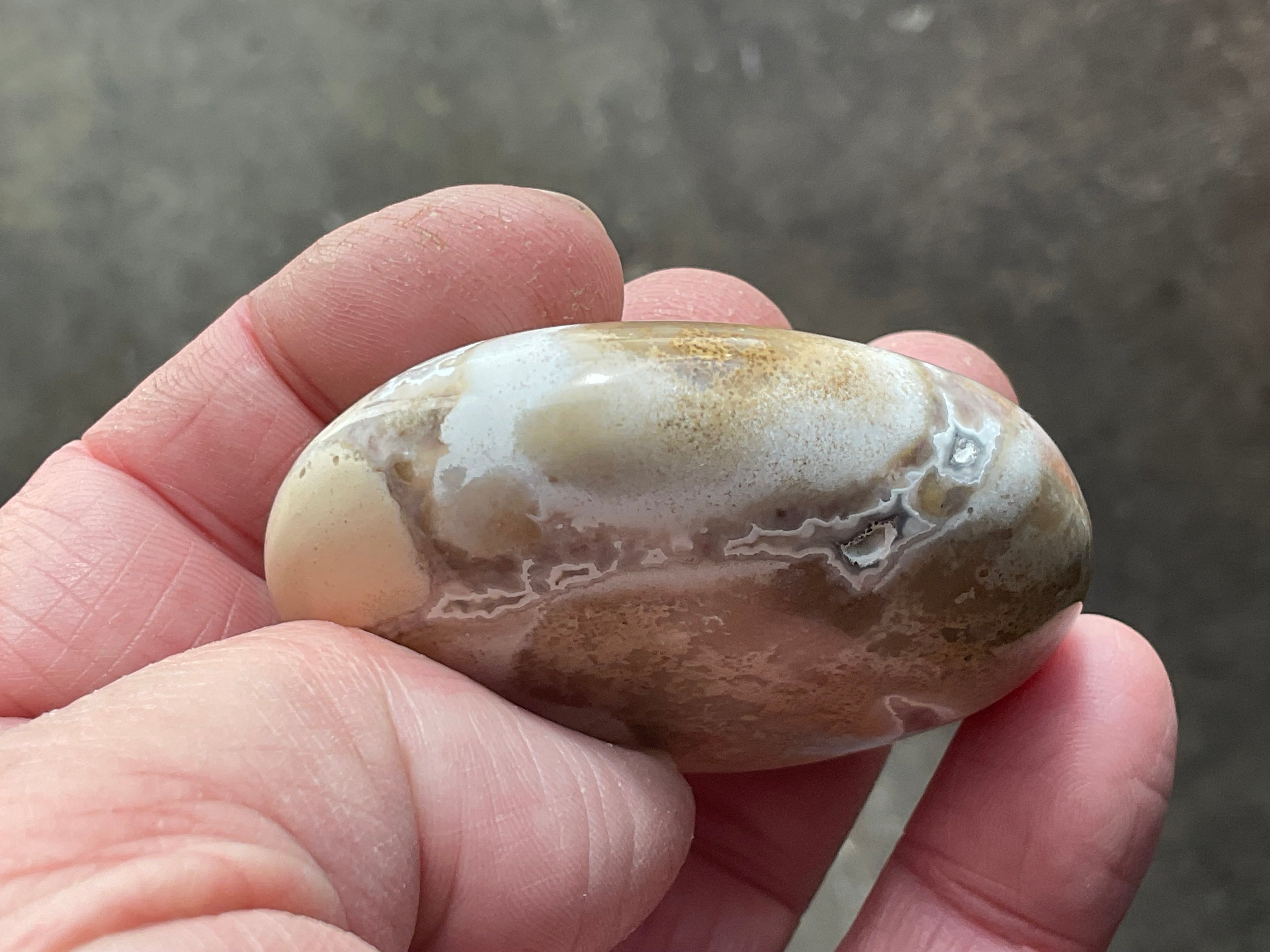 85g King Cobra Palmstone 2C