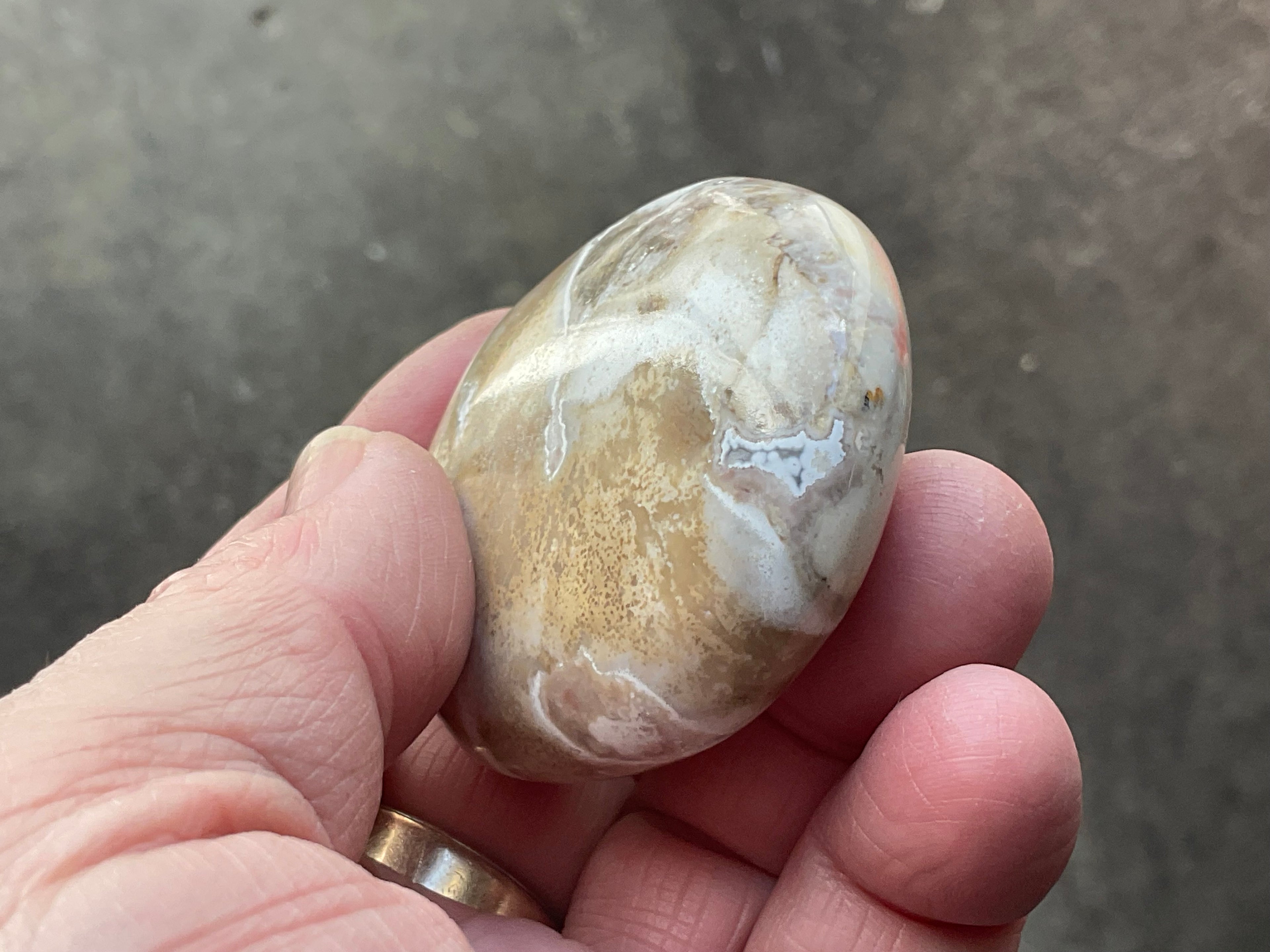 90g King Cobra Palmstone 2F