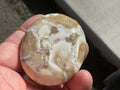 90g King Cobra Palmstone 2F