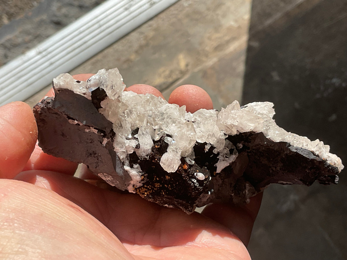 226g Diamond Calcite on Black Siderite with Red Hematite Specimen 11A