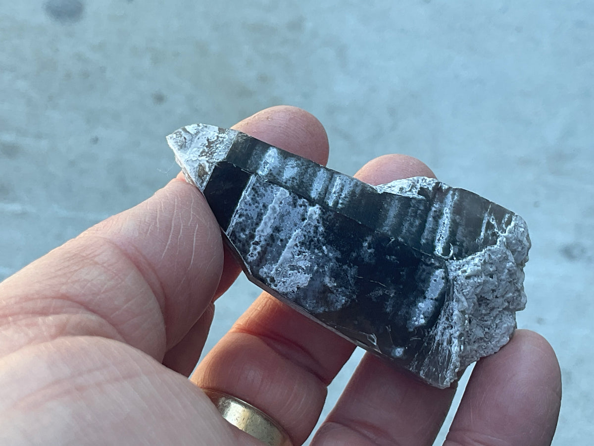 56g Smokey Quartz + Specimen 2A from Inner Mongolia