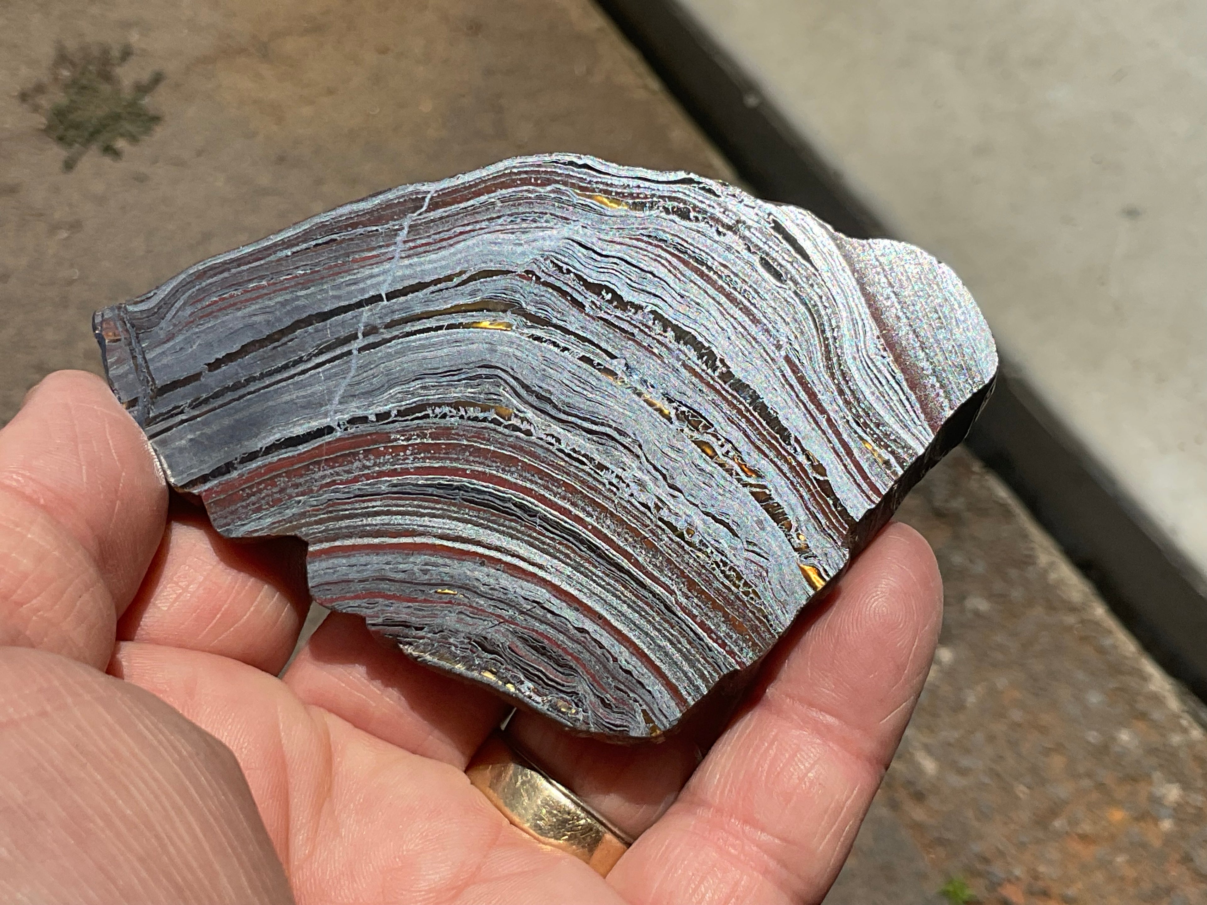 96g Western Australian Tiger Iron Polished Slab A