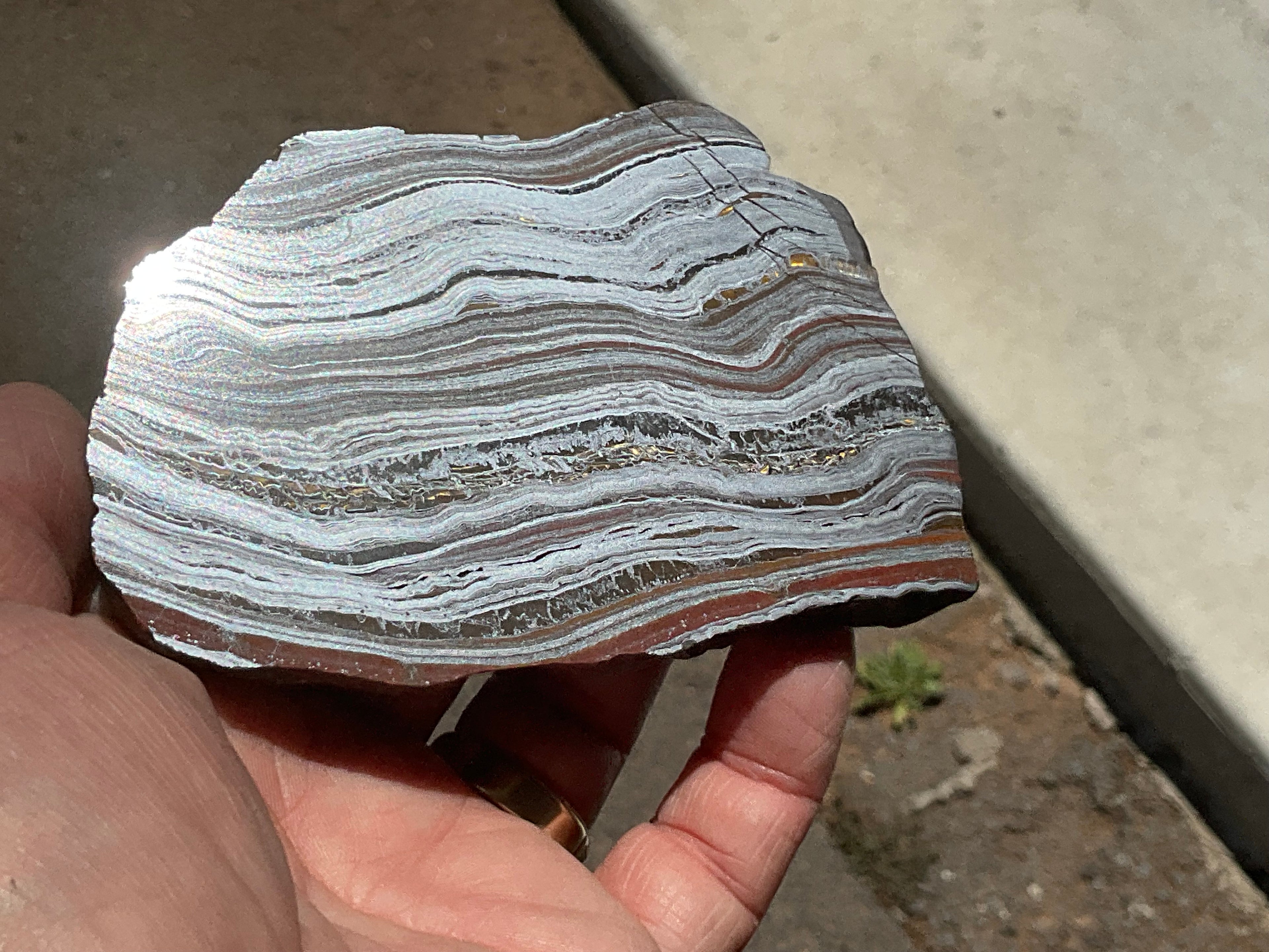 208g Western Australian Tiger Iron Polished Slab B