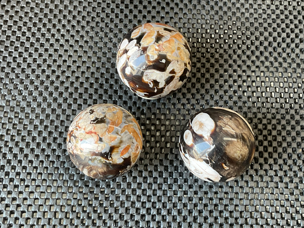 178gWestern Australian “Peanut Wood” Sphere 1A