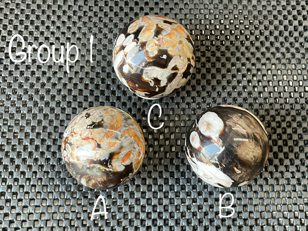 178gWestern Australian “Peanut Wood” Sphere 1A