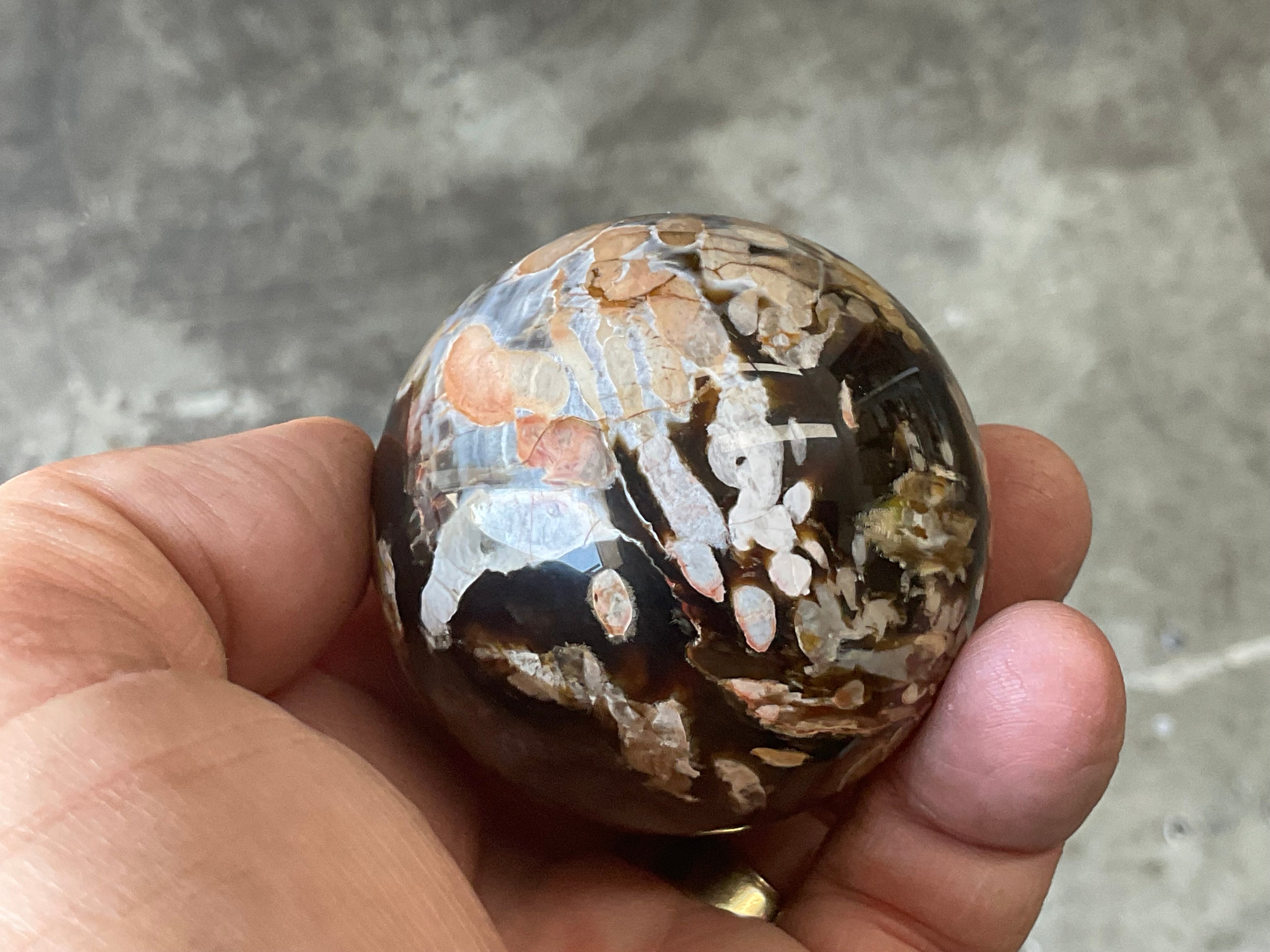 178gWestern Australian “Peanut Wood” Sphere 1A