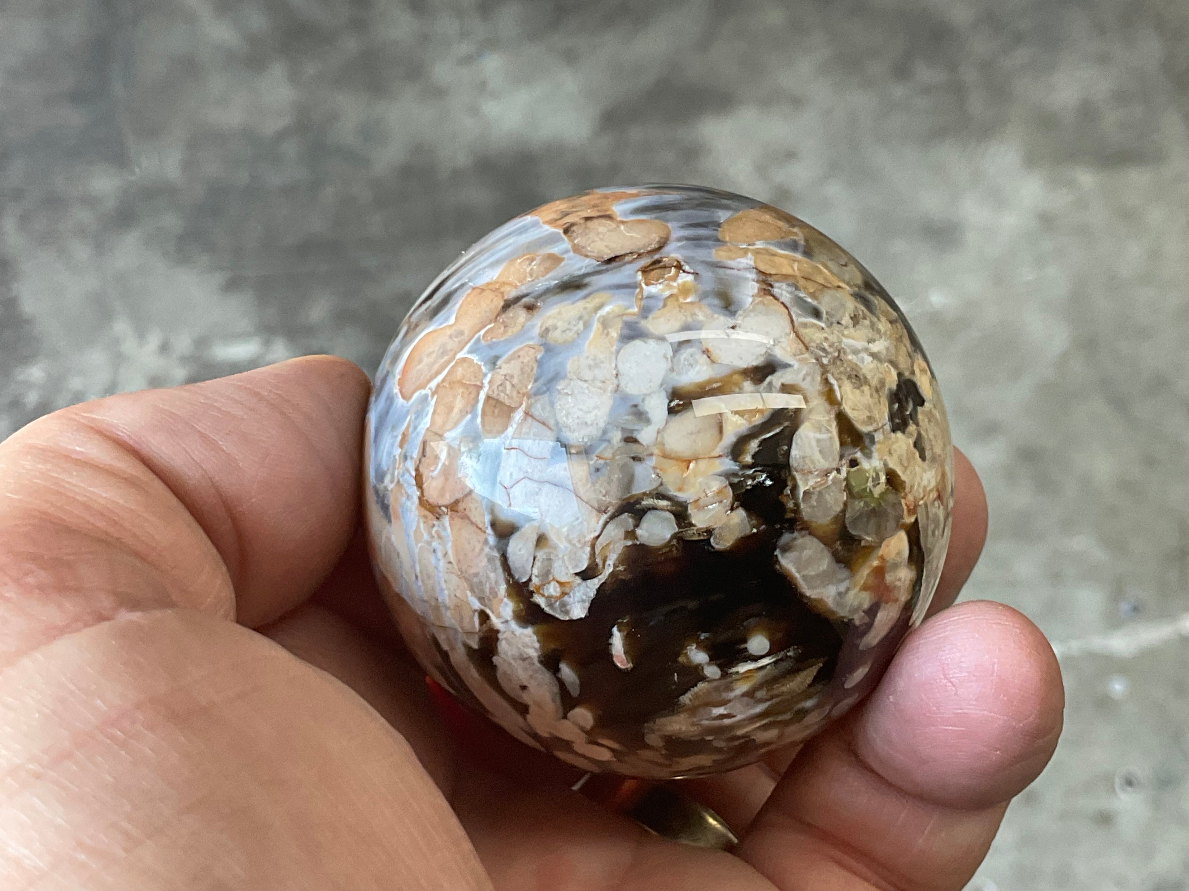 178gWestern Australian “Peanut Wood” Sphere 1A