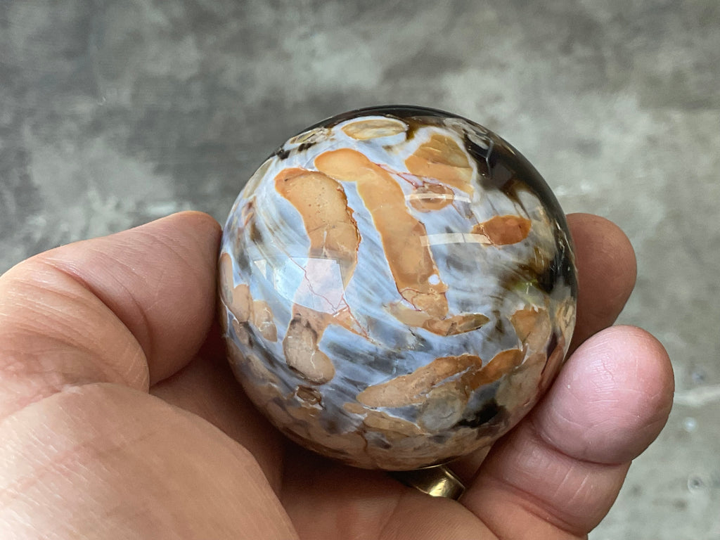 178gWestern Australian “Peanut Wood” Sphere 1A