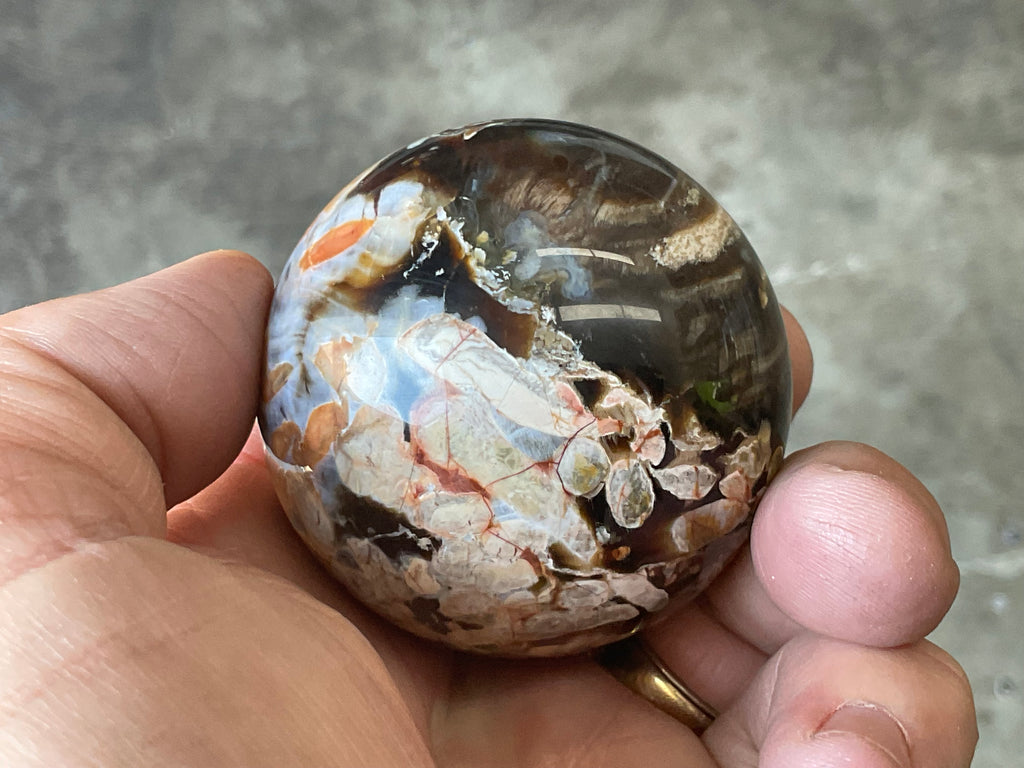 178gWestern Australian “Peanut Wood” Sphere 1A