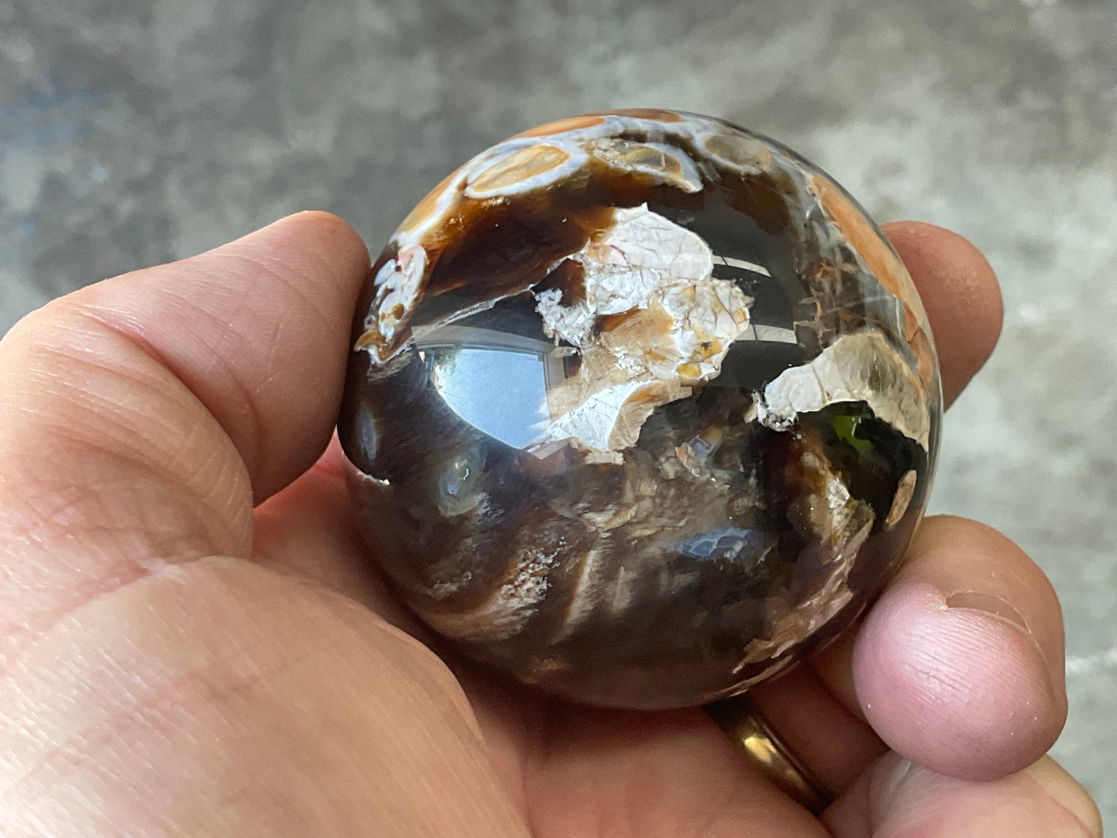 178gWestern Australian “Peanut Wood” Sphere 1A