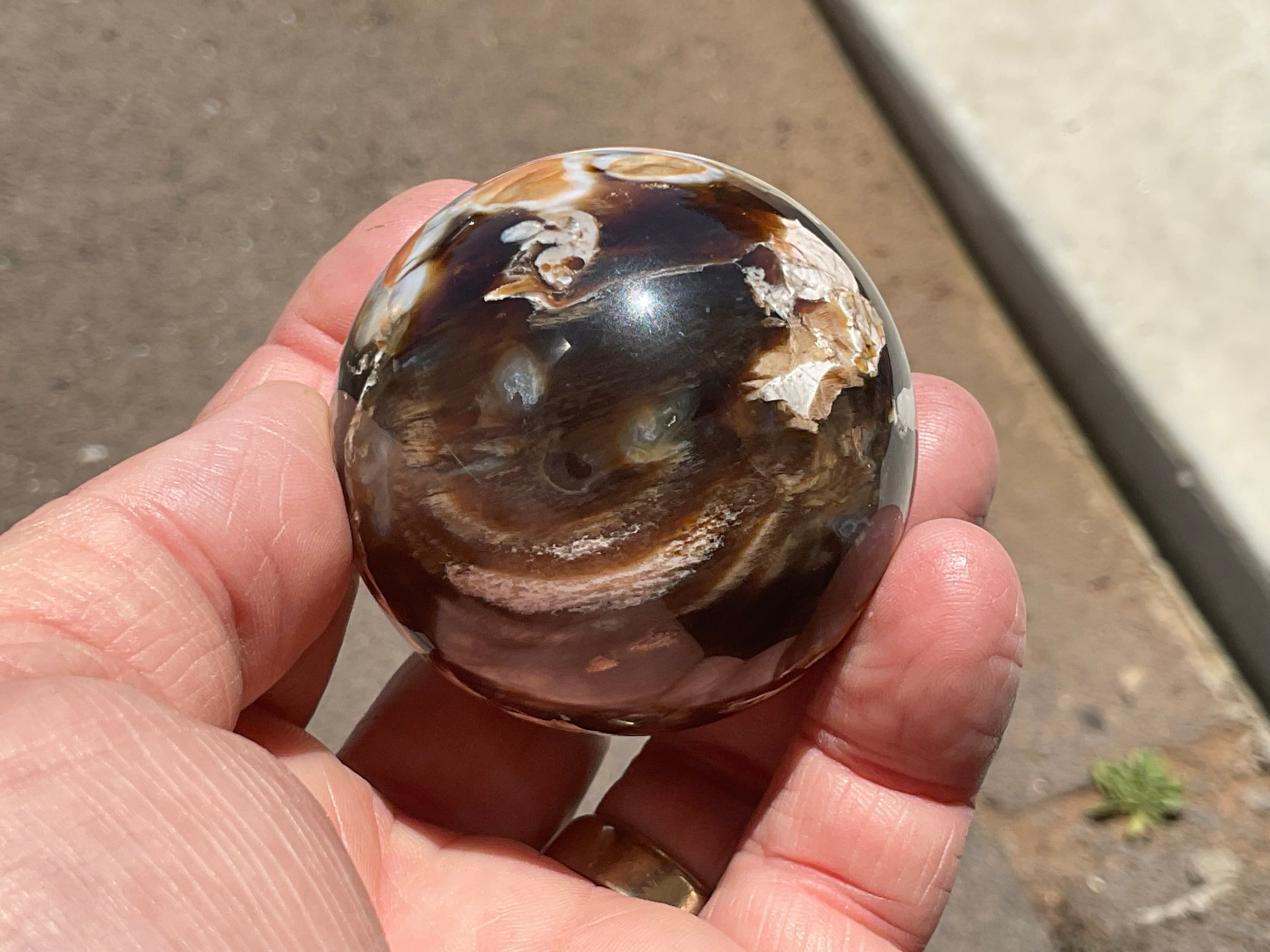 178gWestern Australian “Peanut Wood” Sphere 1A