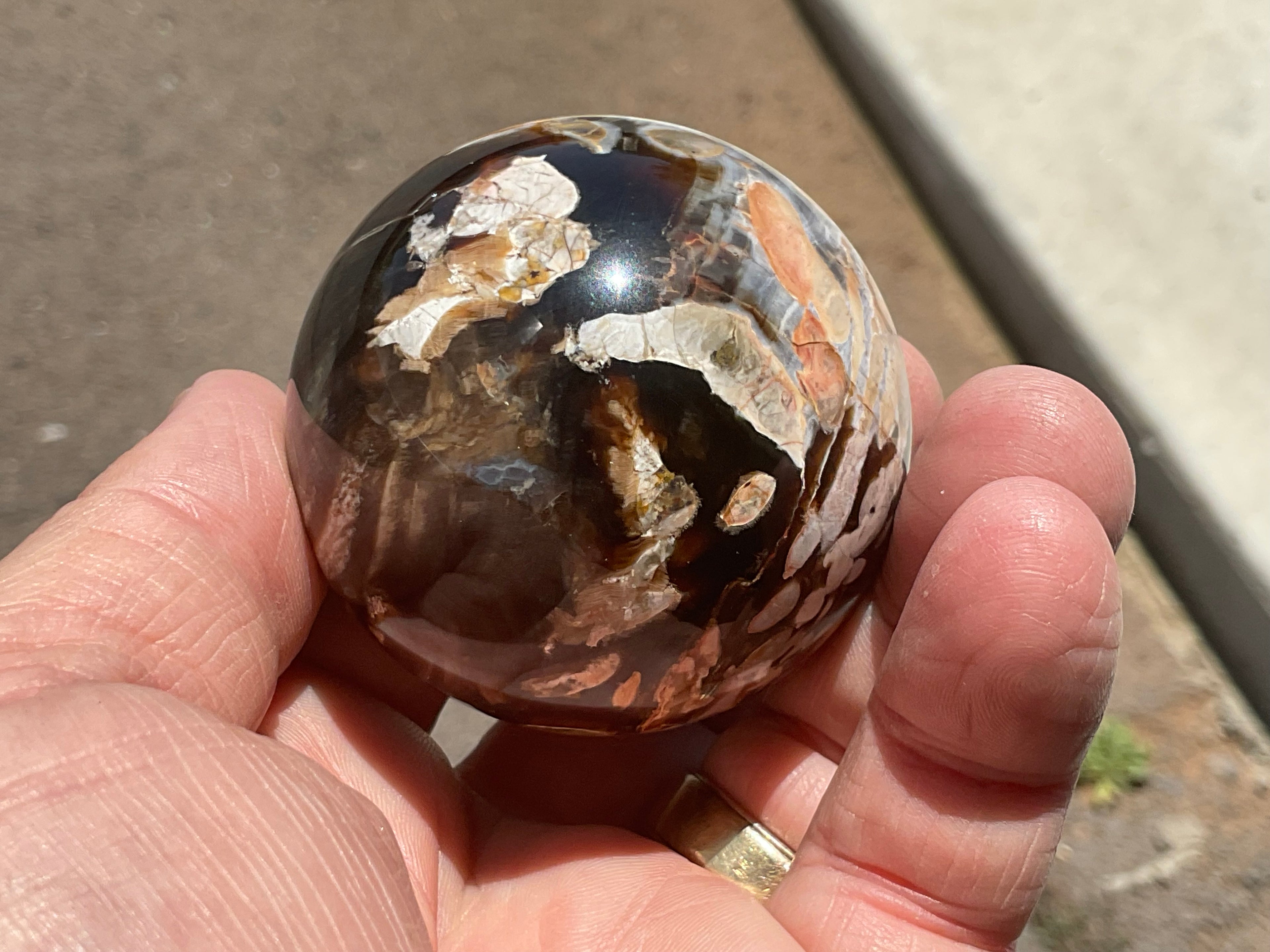 178gWestern Australian “Peanut Wood” Sphere 1A