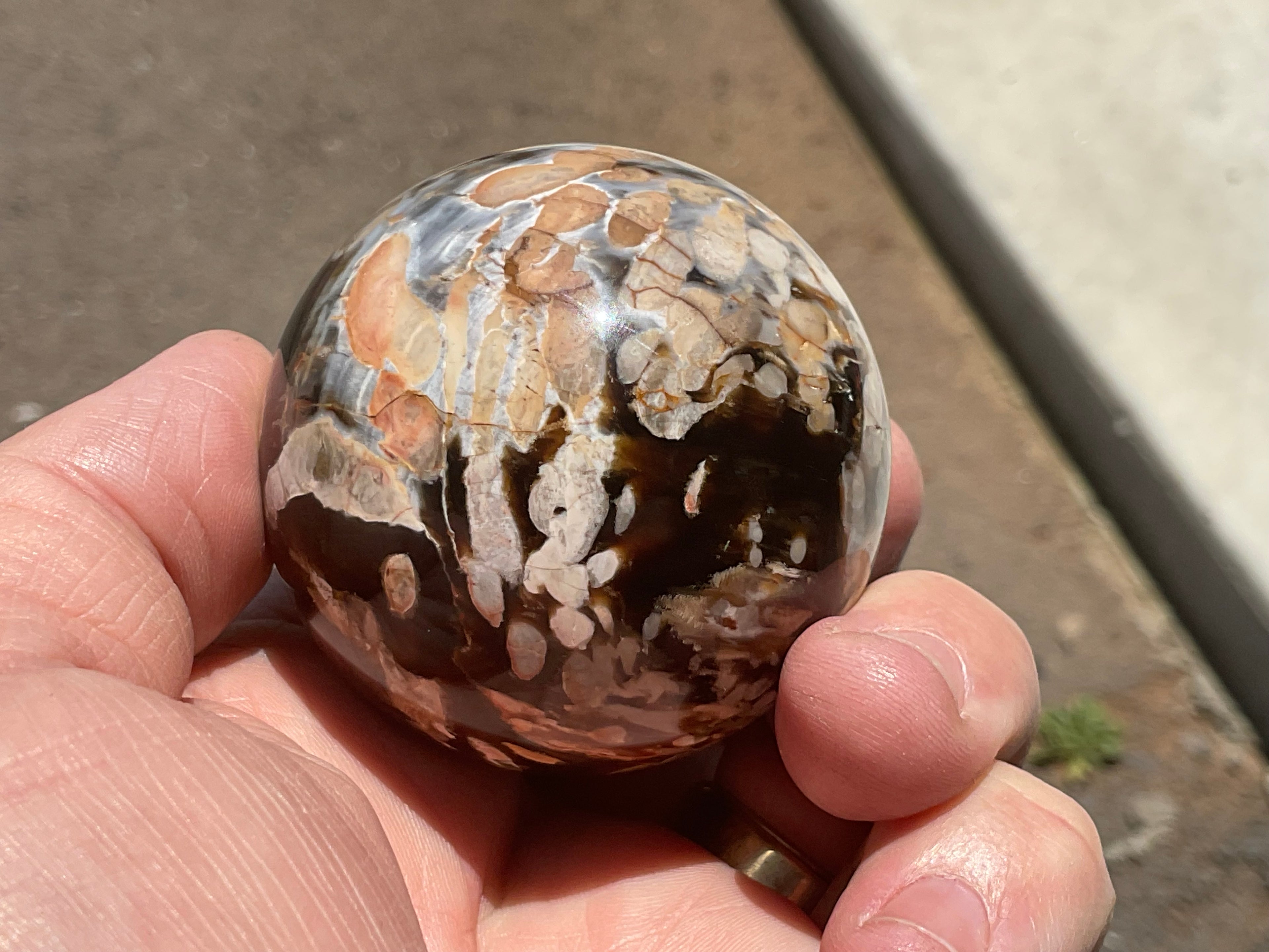 178gWestern Australian “Peanut Wood” Sphere 1A