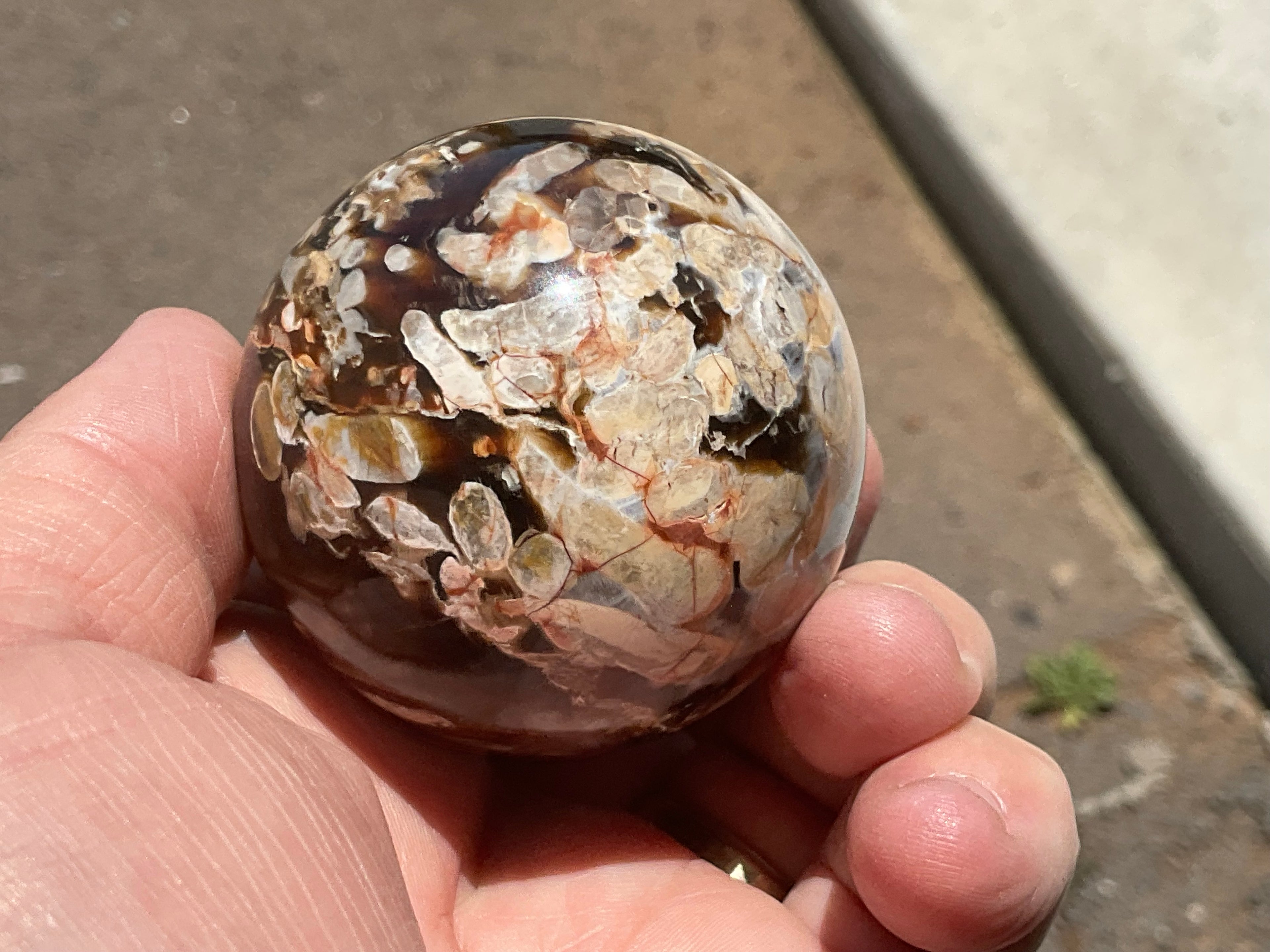 178gWestern Australian “Peanut Wood” Sphere 1A