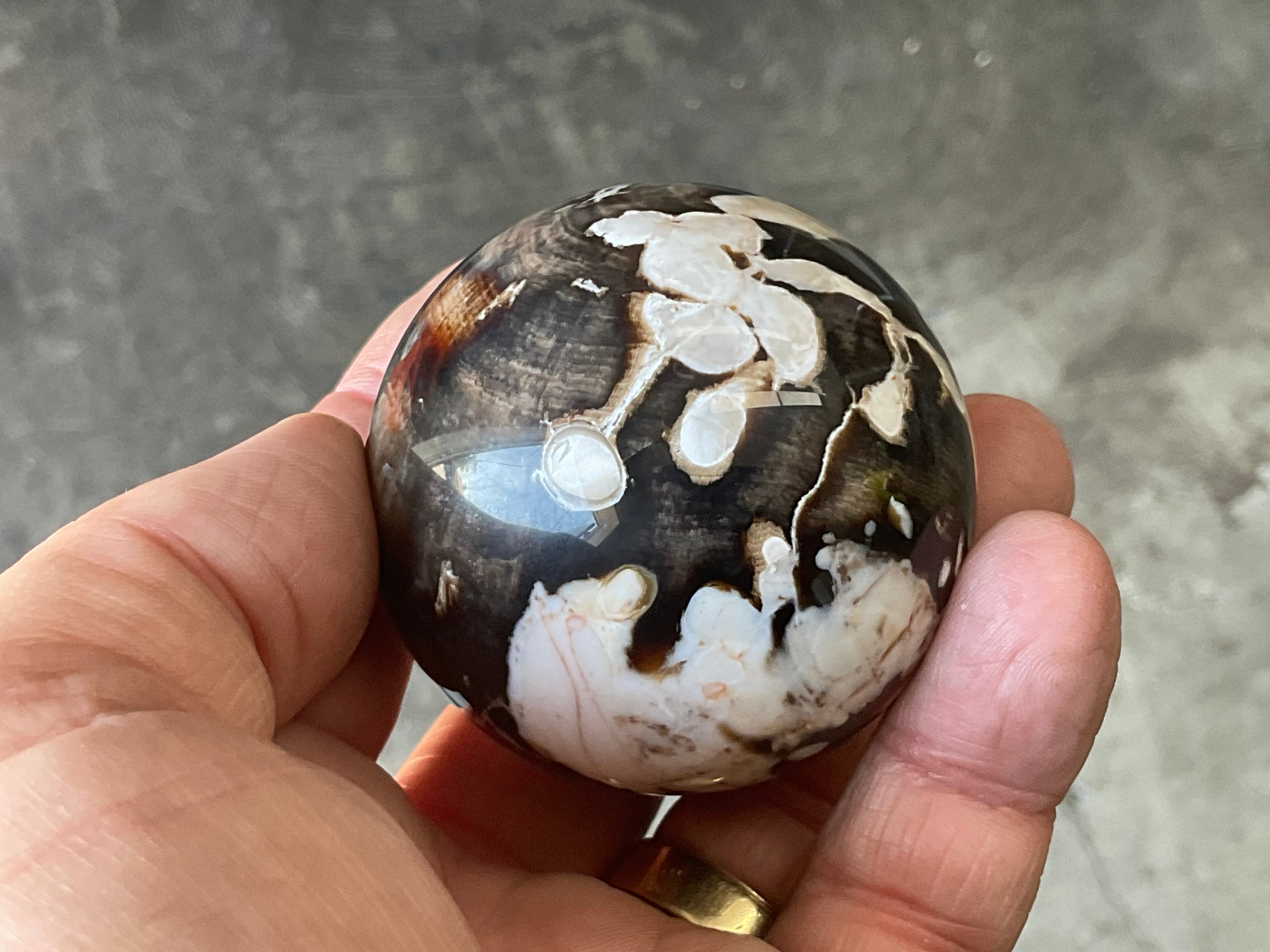 192g Western Australian “Peanut Wood” Sphere 1B