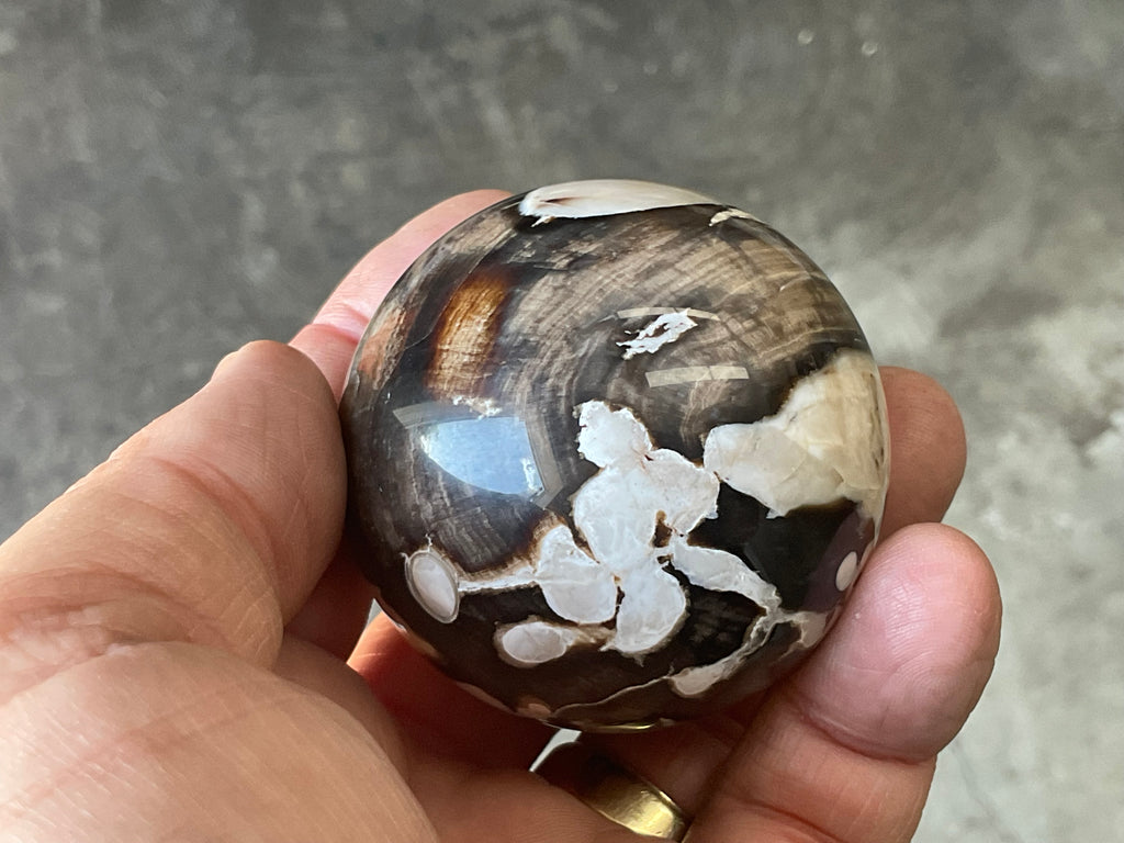 192g Western Australian “Peanut Wood” Sphere 1B