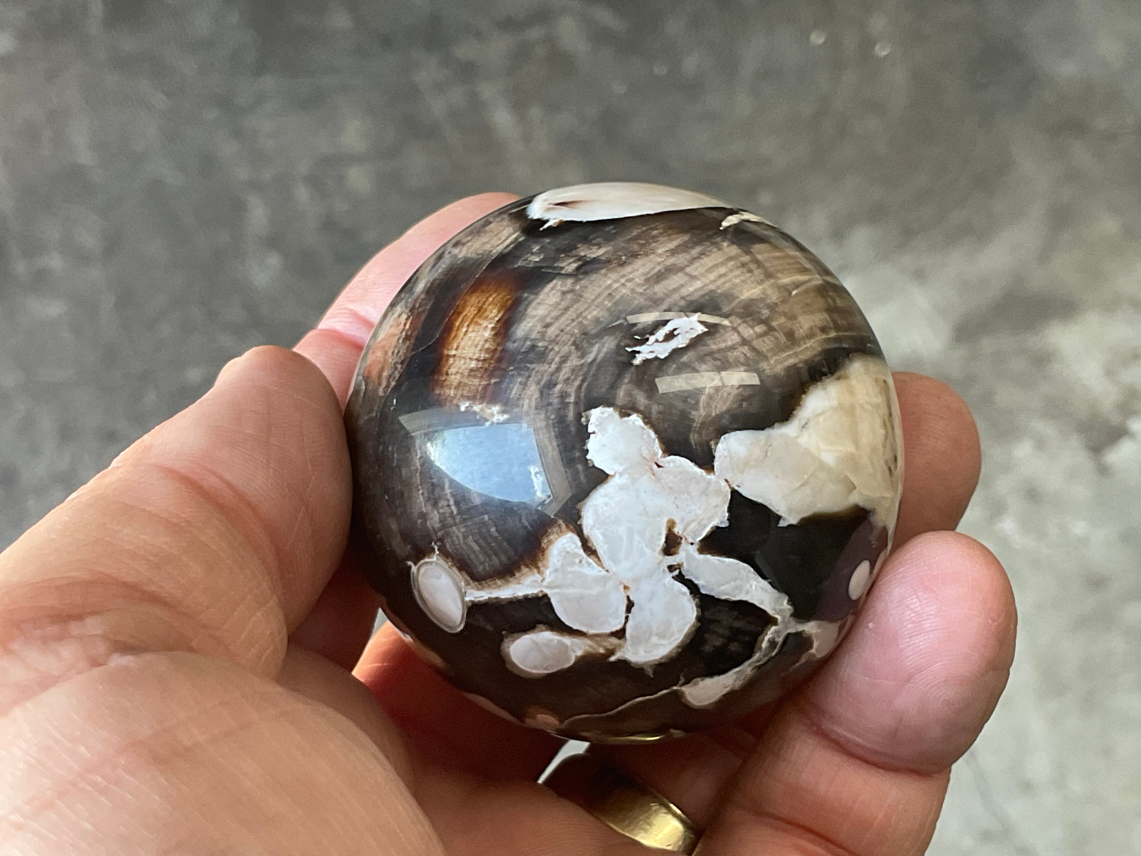 192g Western Australian “Peanut Wood” Sphere 1B