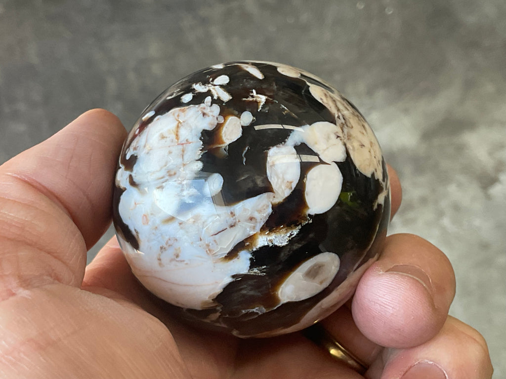 192g Western Australian “Peanut Wood” Sphere 1B