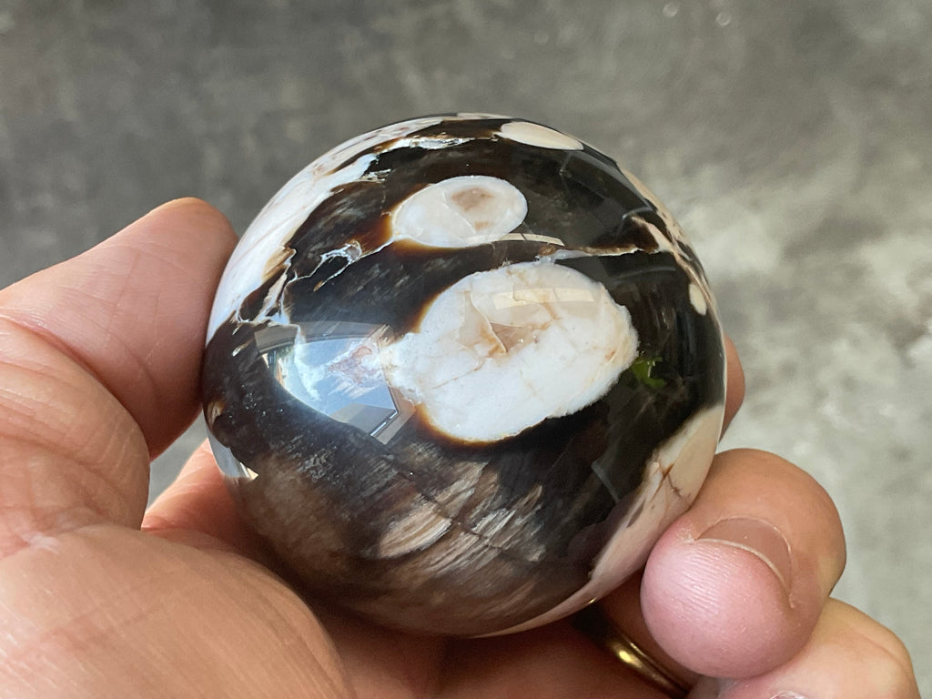 192g Western Australian “Peanut Wood” Sphere 1B