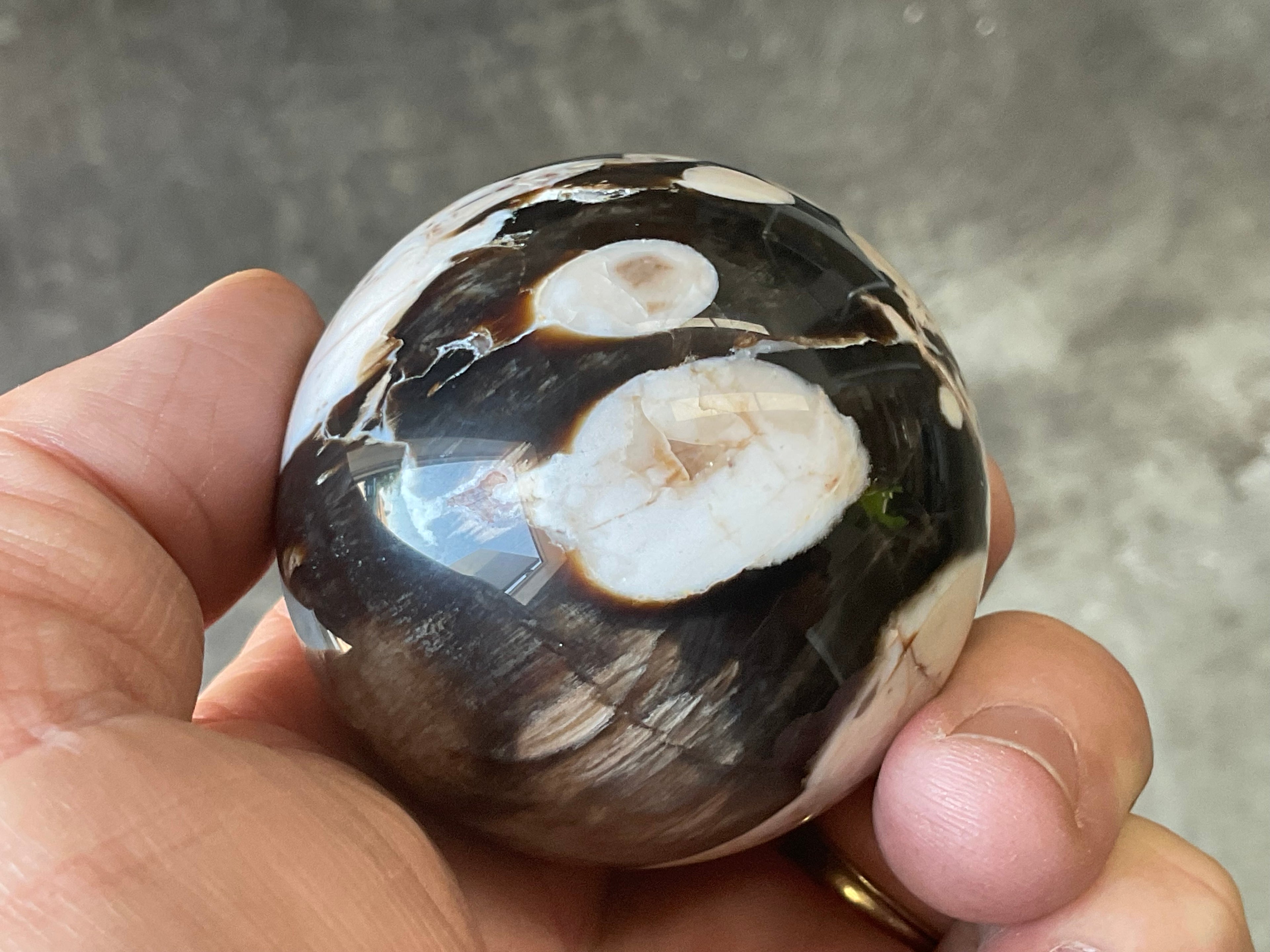 192g Western Australian “Peanut Wood” Sphere 1B