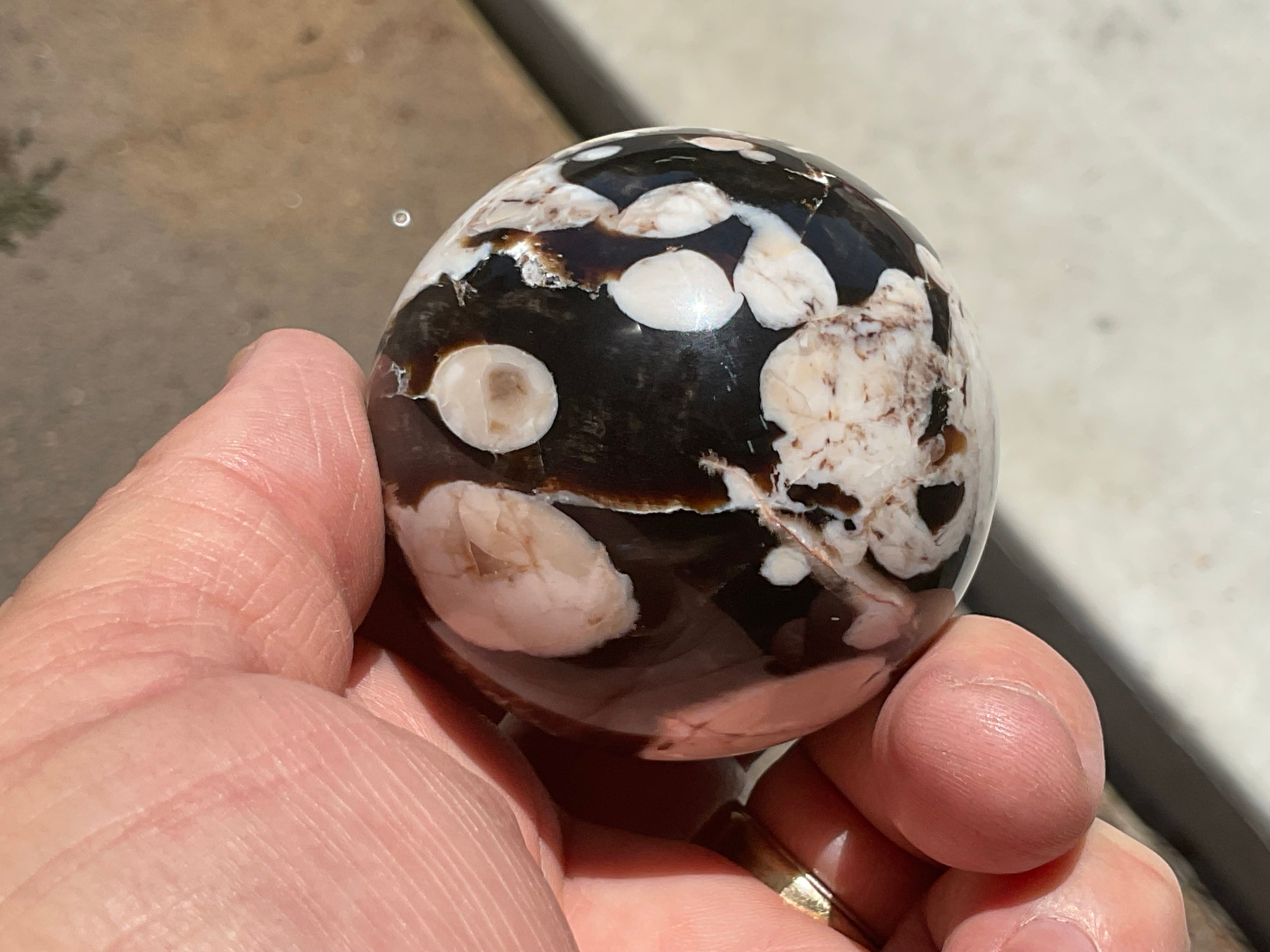 192g Western Australian “Peanut Wood” Sphere 1B