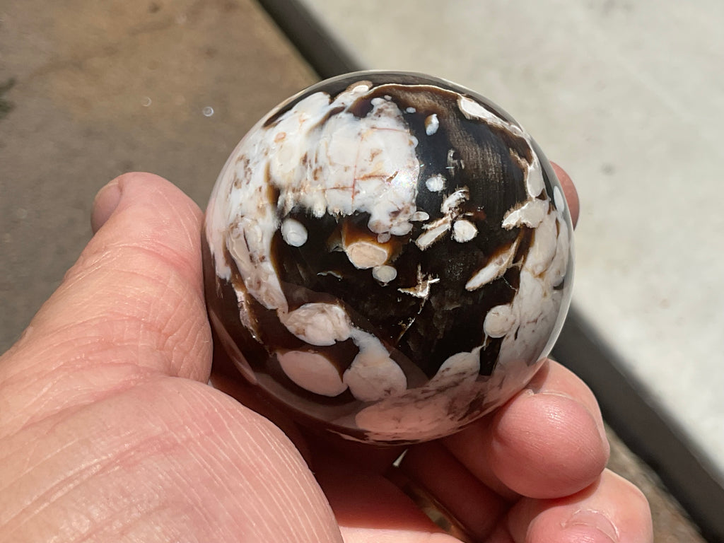 192g Western Australian “Peanut Wood” Sphere 1B