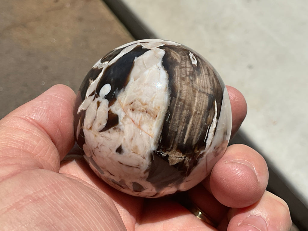 192g Western Australian “Peanut Wood” Sphere 1B