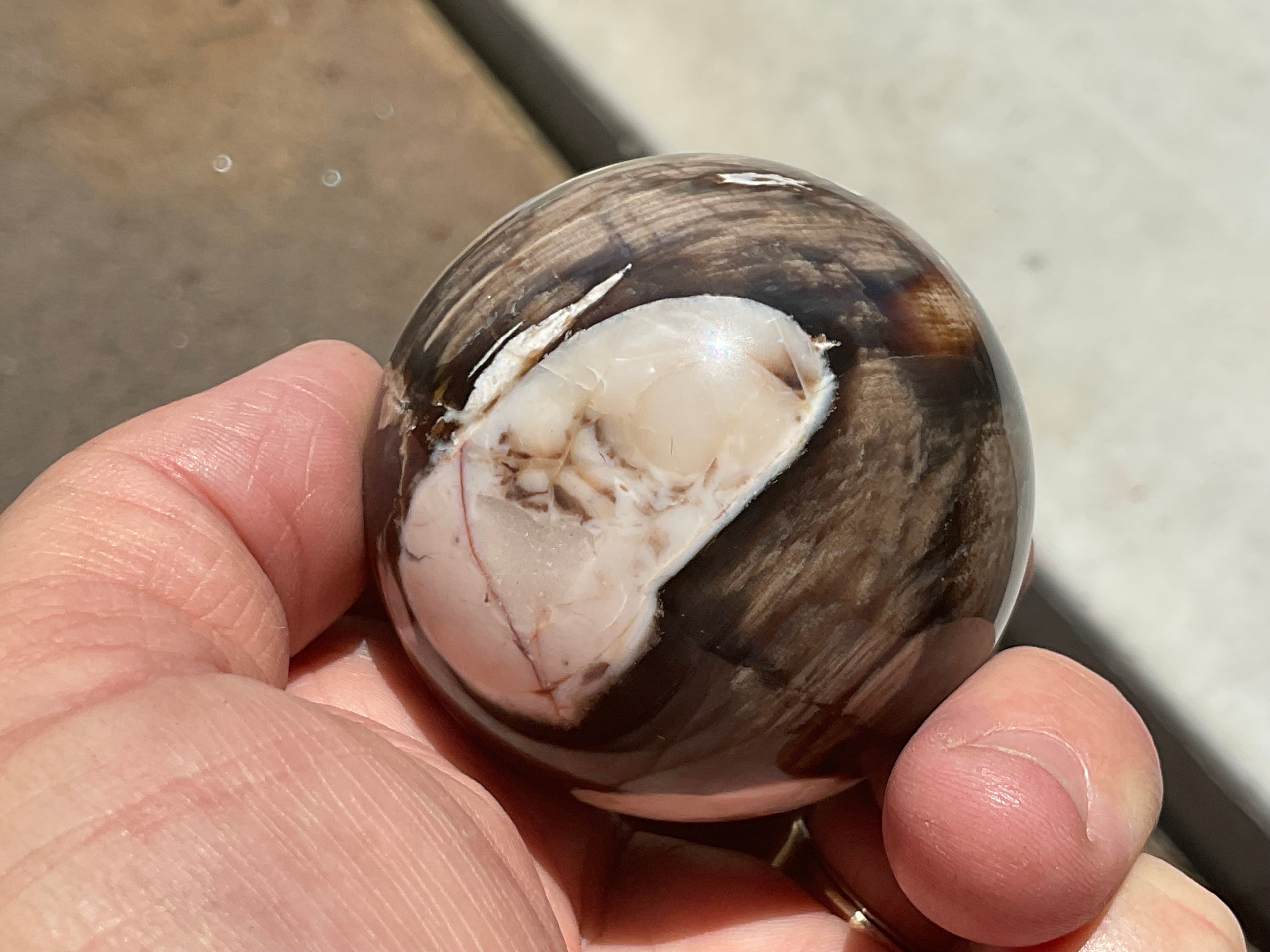 192g Western Australian “Peanut Wood” Sphere 1B