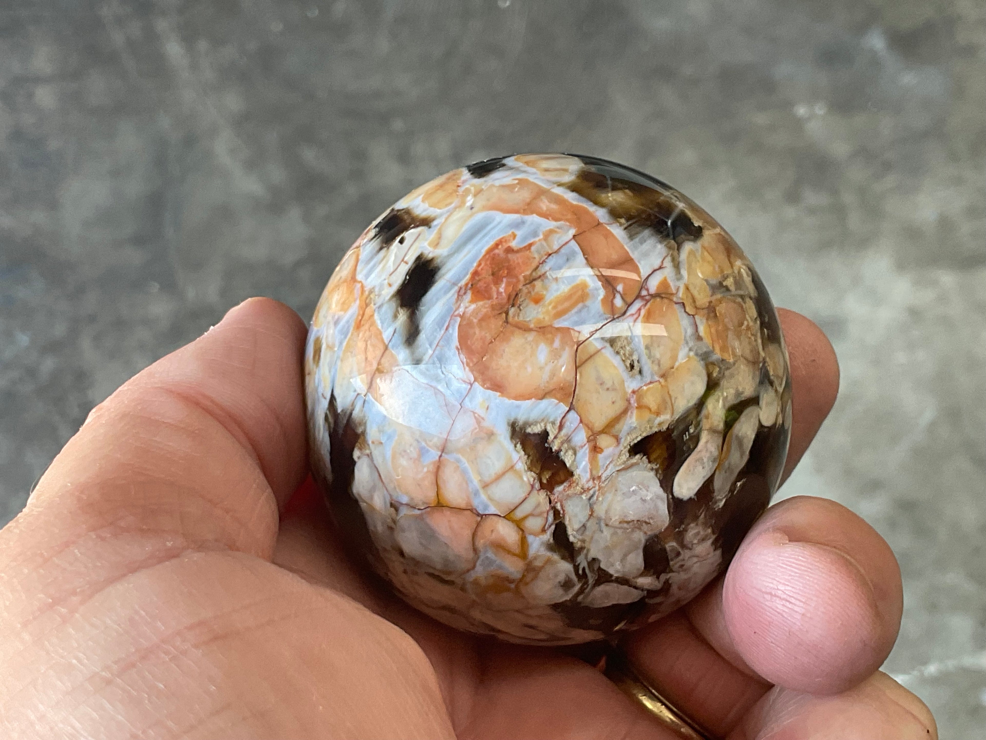 216g Western Australian “Peanut Wood” Sphere 1C