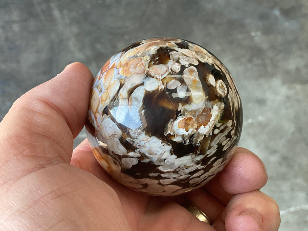 216g Western Australian “Peanut Wood” Sphere 1C