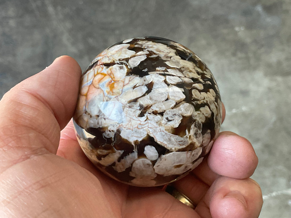 216g Western Australian “Peanut Wood” Sphere 1C