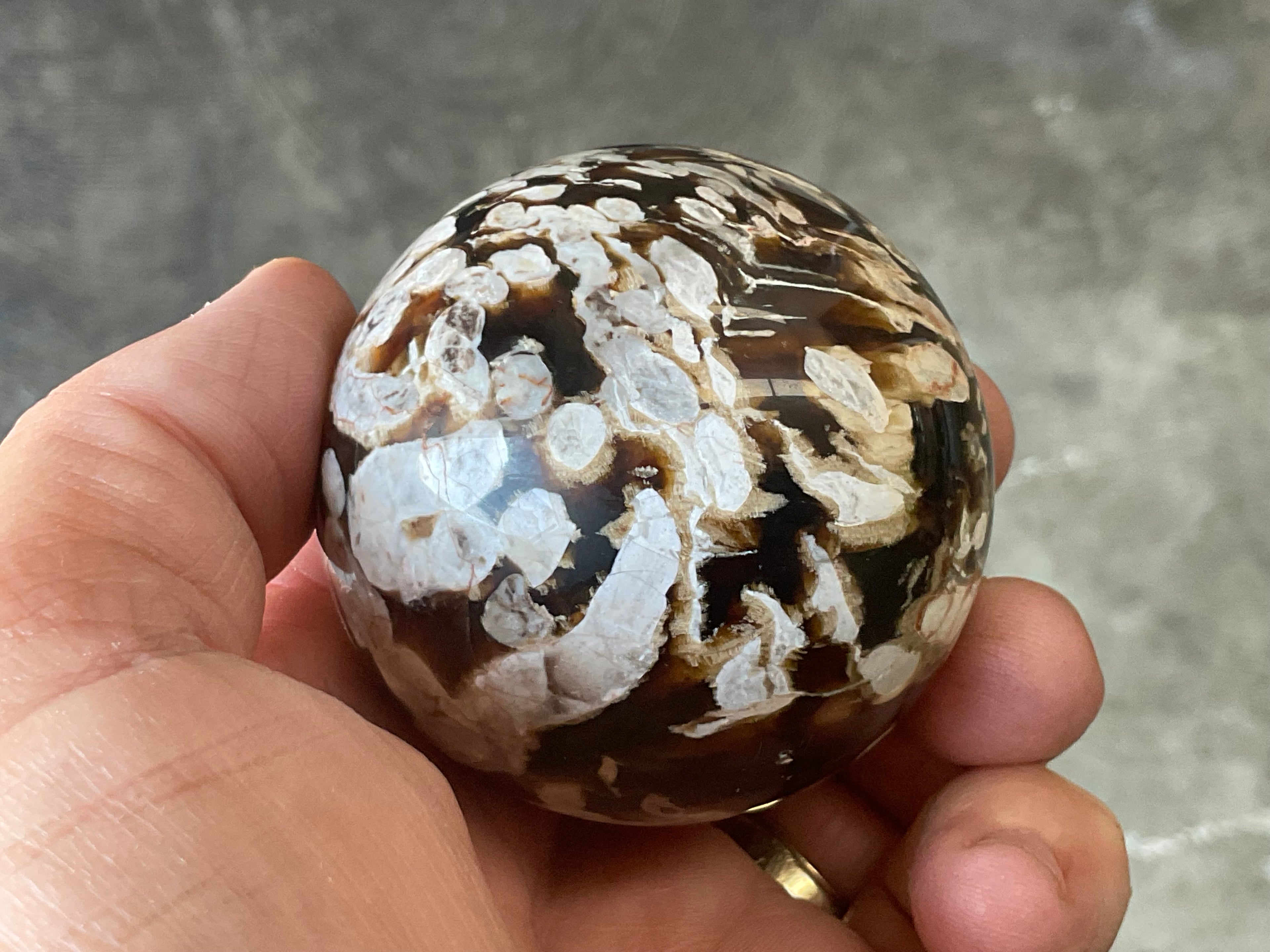 216g Western Australian “Peanut Wood” Sphere 1C