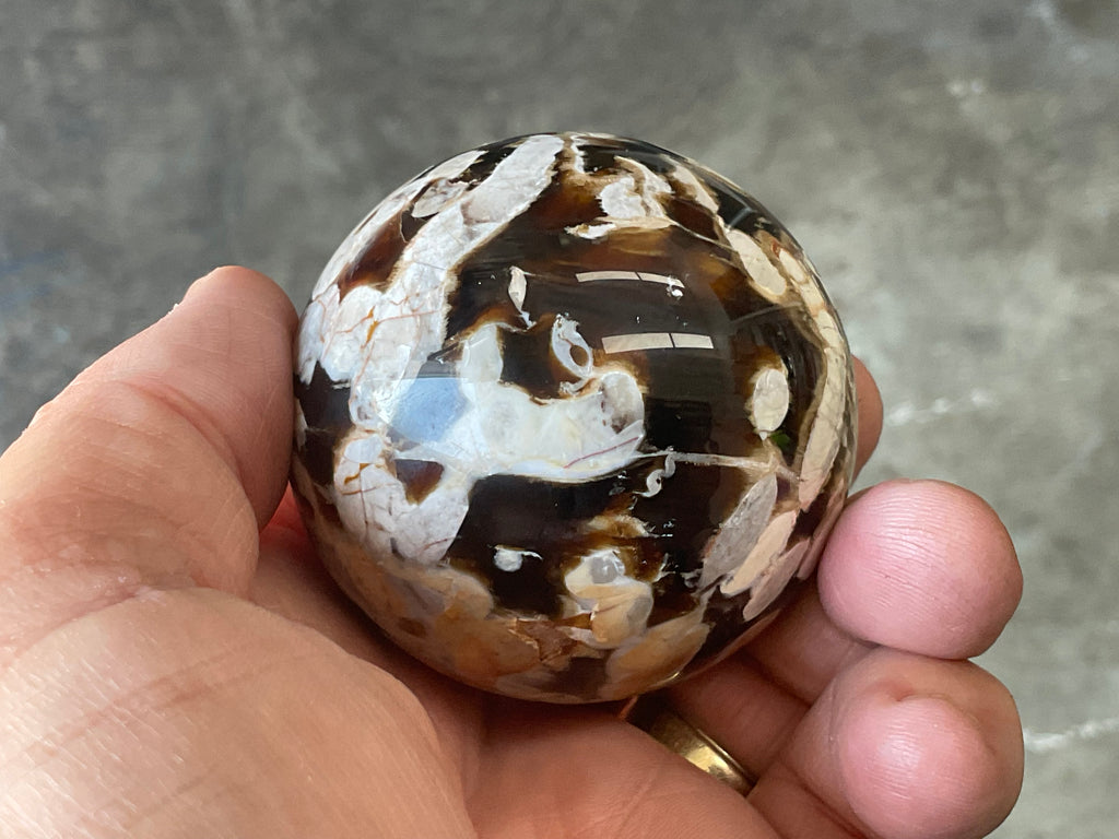 216g Western Australian “Peanut Wood” Sphere 1C