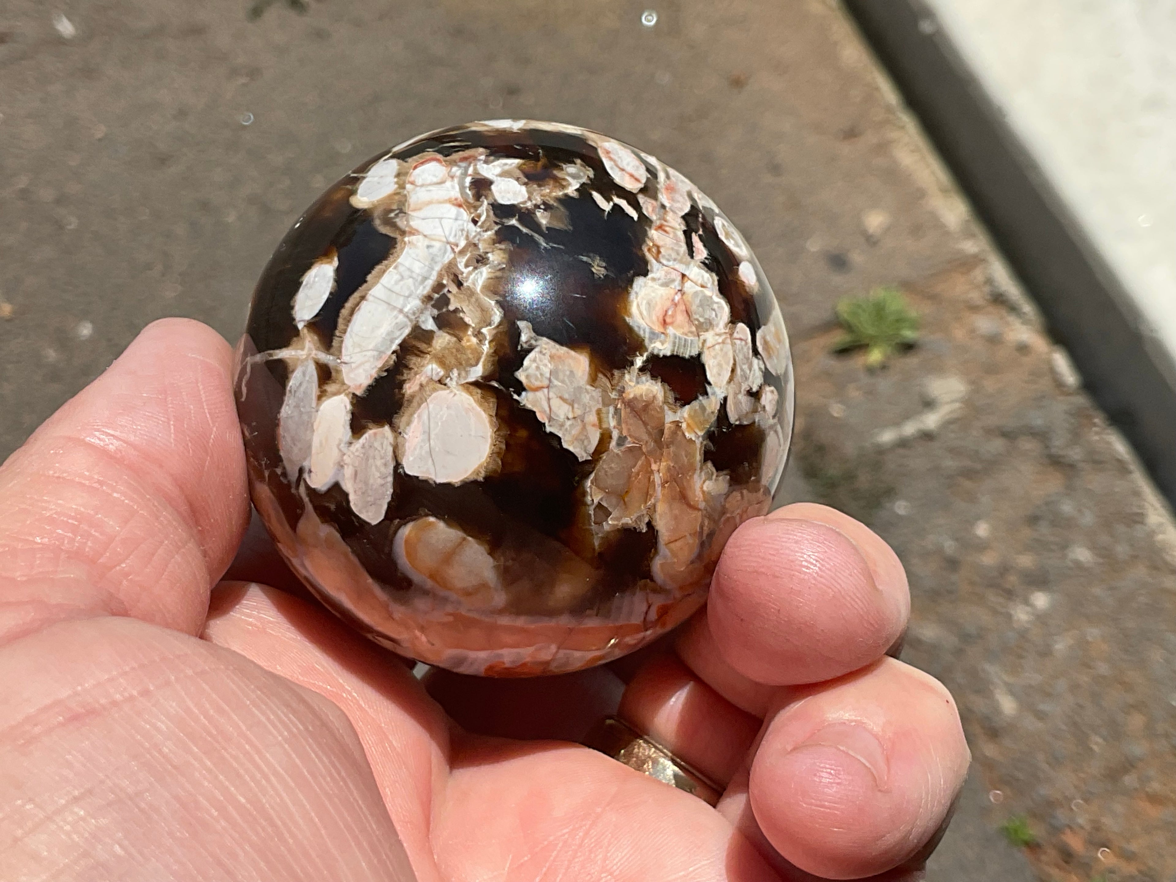 216g Western Australian “Peanut Wood” Sphere 1C
