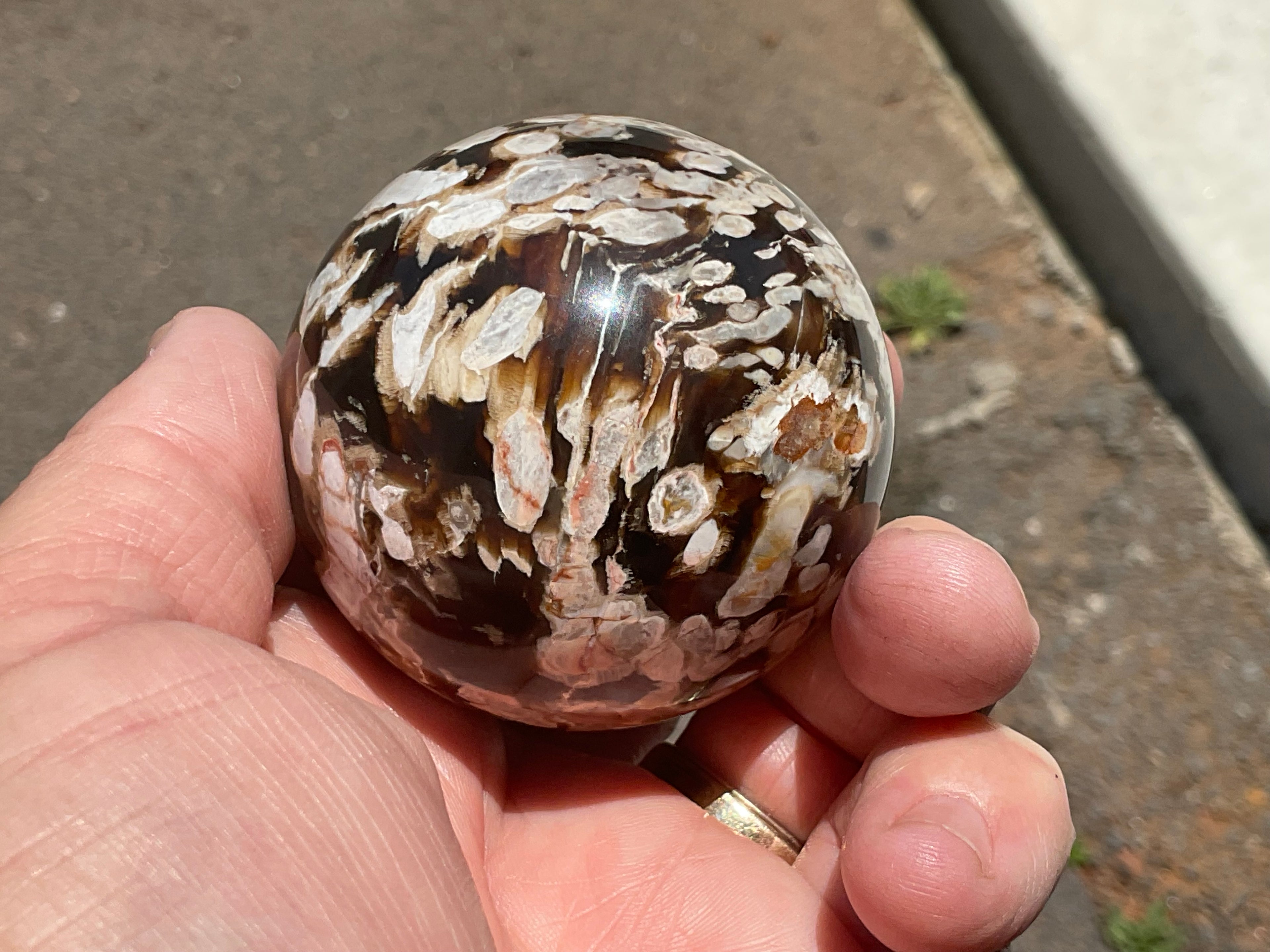 216g Western Australian “Peanut Wood” Sphere 1C