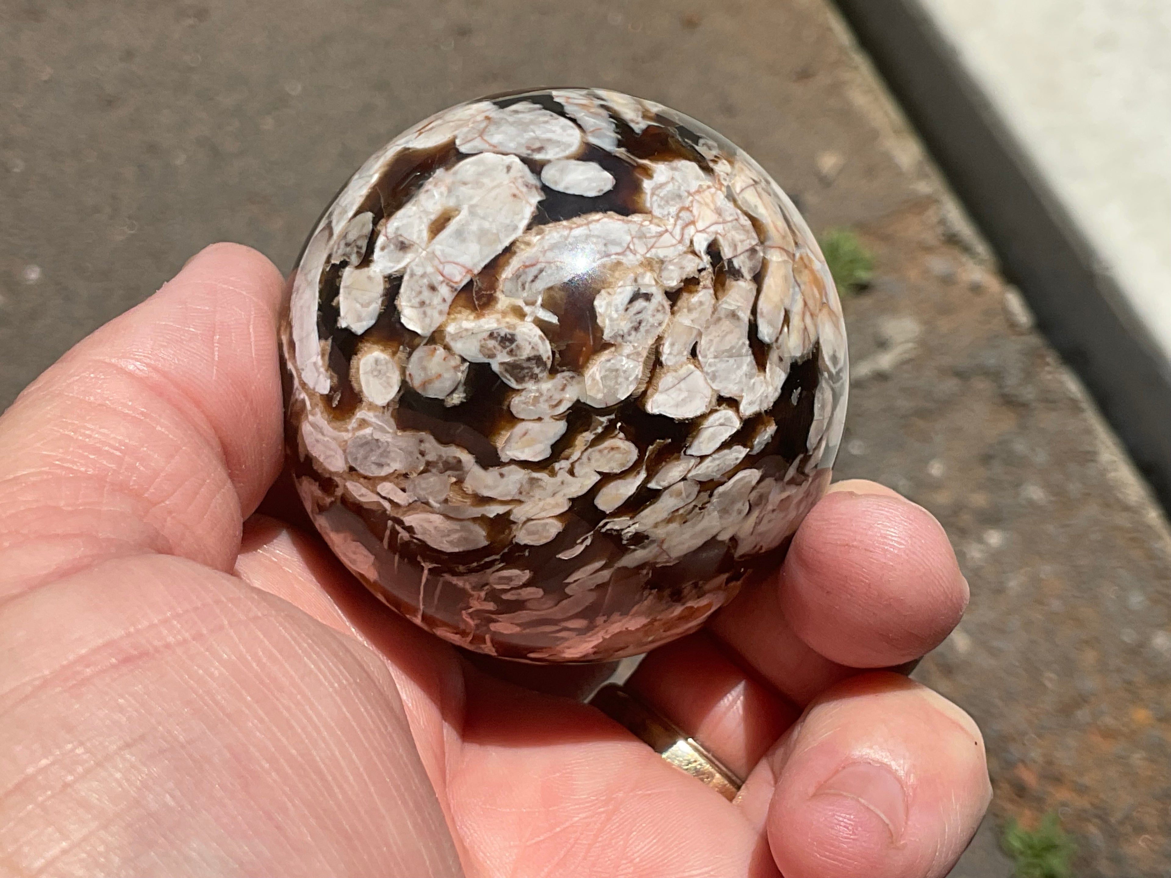 216g Western Australian “Peanut Wood” Sphere 1C