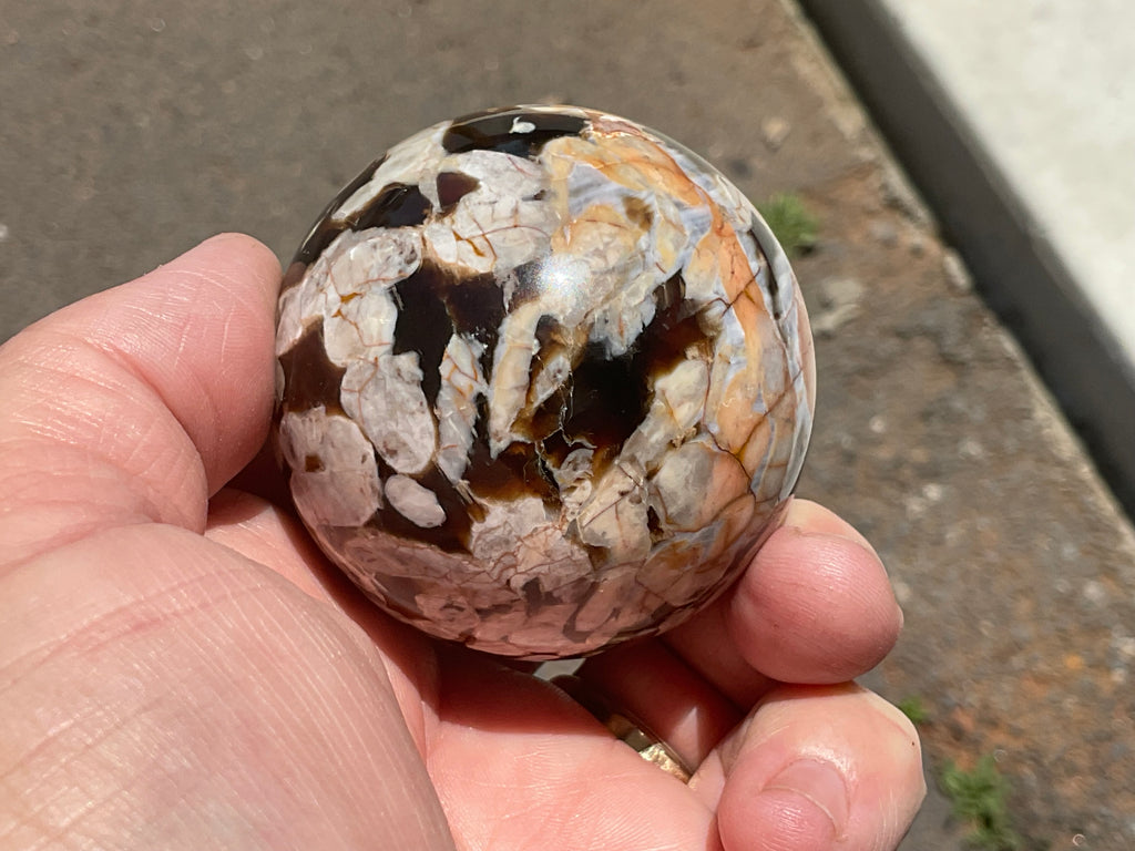 216g Western Australian “Peanut Wood” Sphere 1C