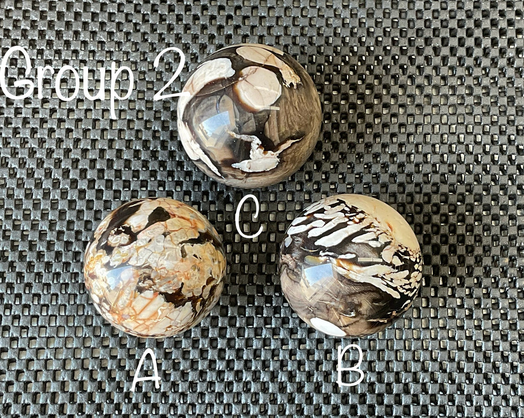 252g Western Australian “Peanut Wood” Sphere 2B