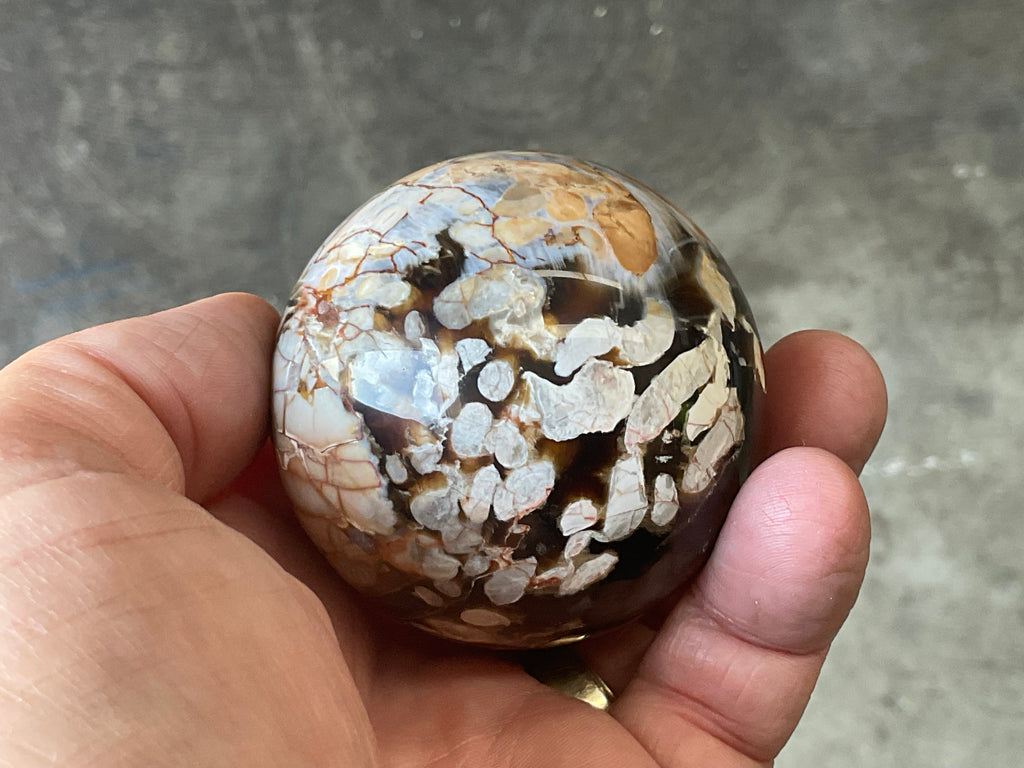 222g Western Australian “Peanut Wood” Sphere 2A