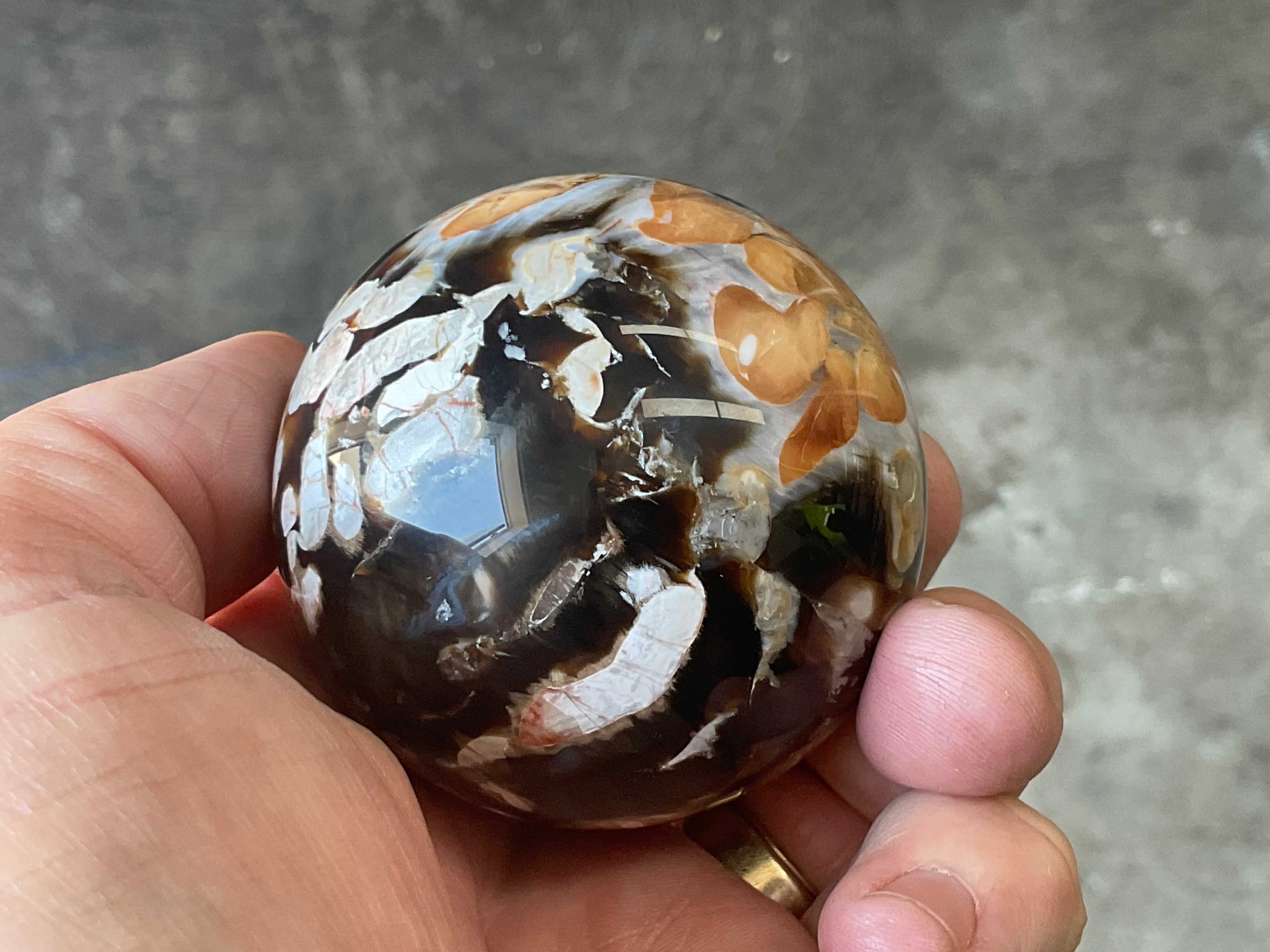 222g Western Australian “Peanut Wood” Sphere 2A