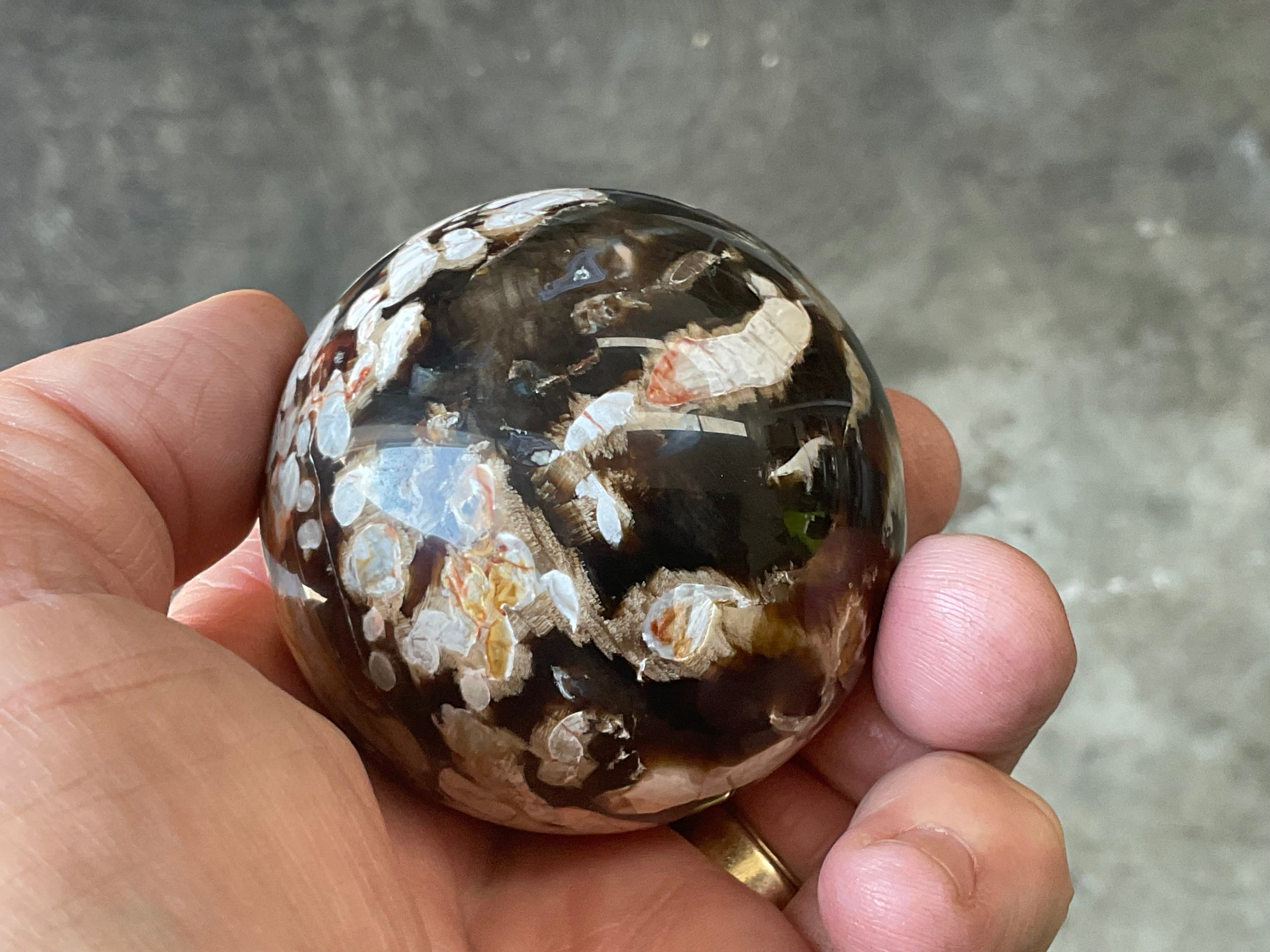 222g Western Australian “Peanut Wood” Sphere 2A