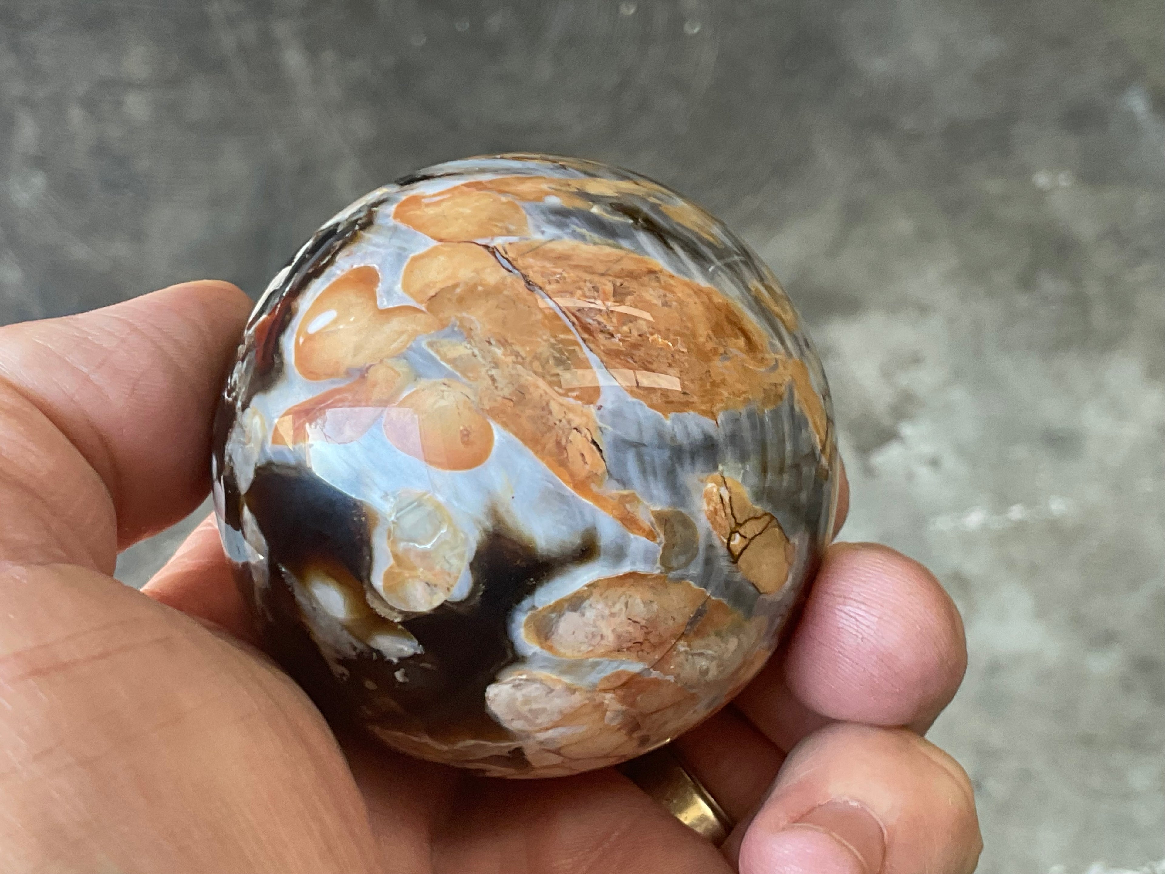 222g Western Australian “Peanut Wood” Sphere 2A