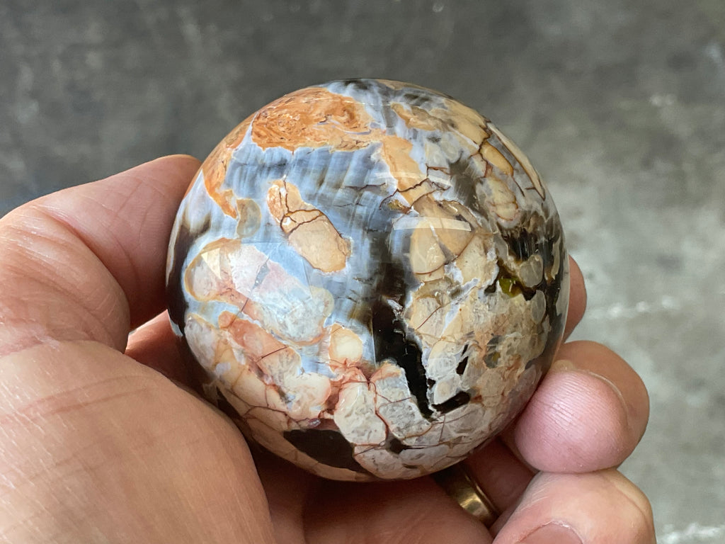 222g Western Australian “Peanut Wood” Sphere 2A